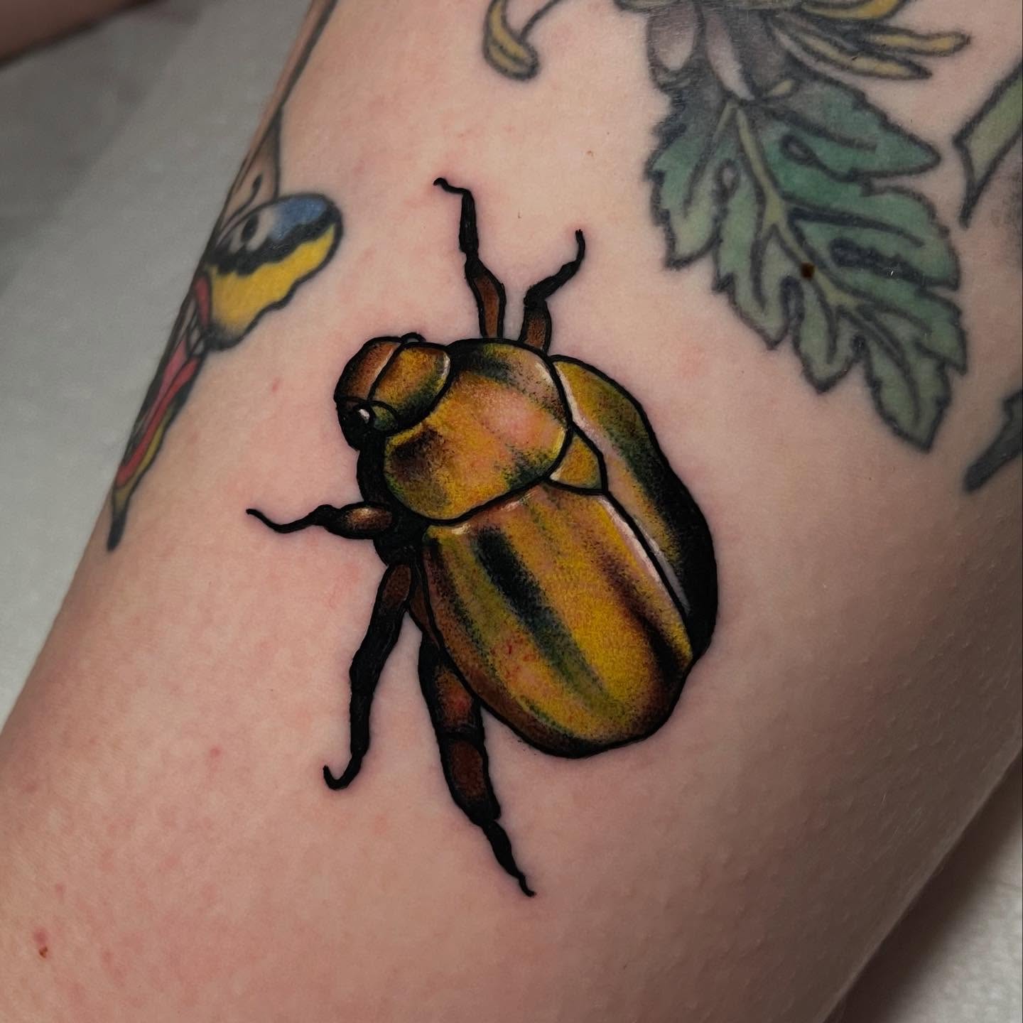 Beetle American traditional tattoo on the forearm by Marqui Watling