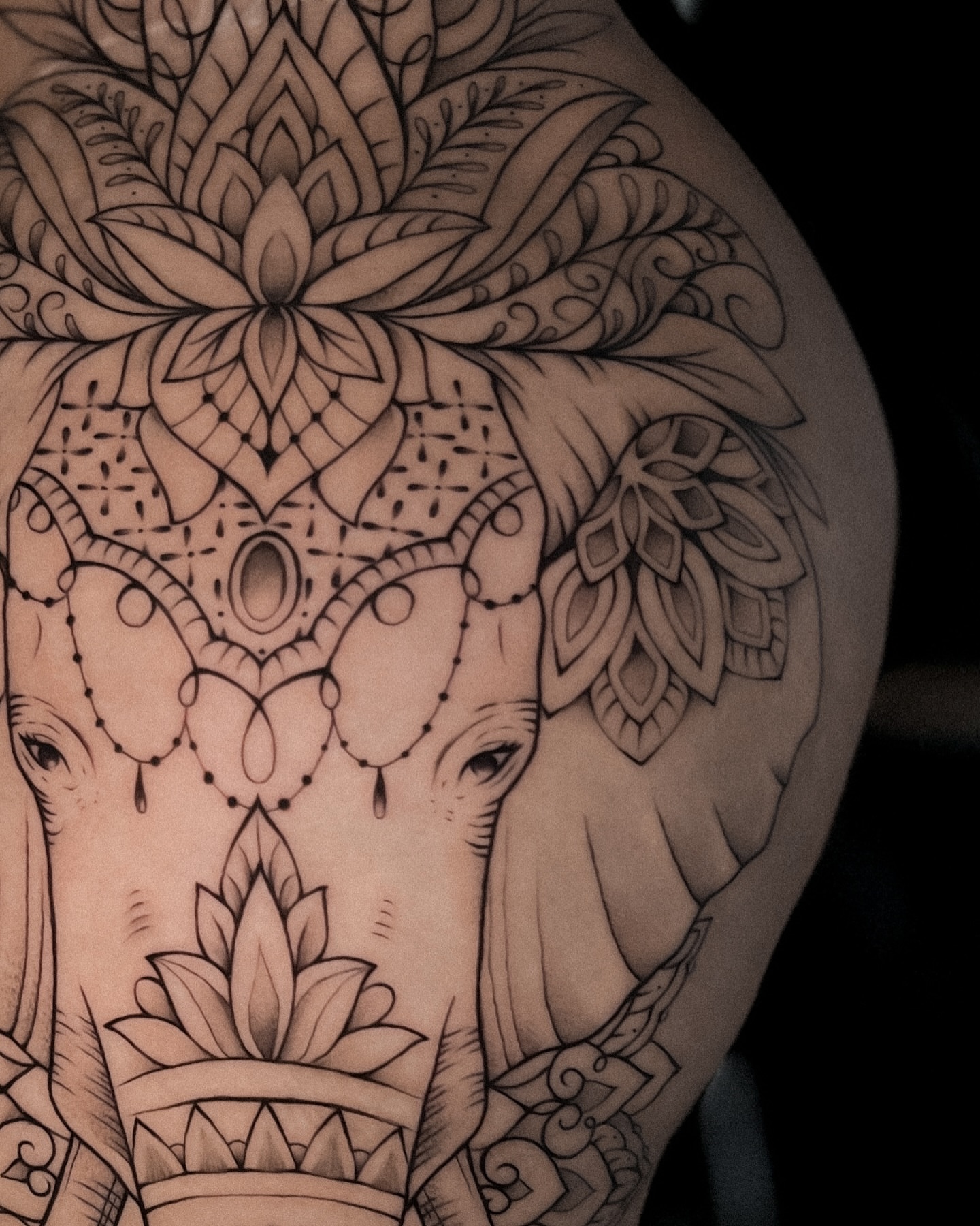 Elephant with floral mandala geometric tattoo on the shoulder by πππΉππππππππππππ
