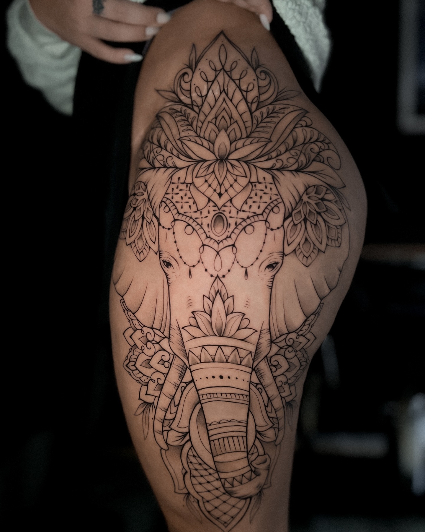 Elephant ornamental tattoo on the thigh by πππΉππππππππππππ