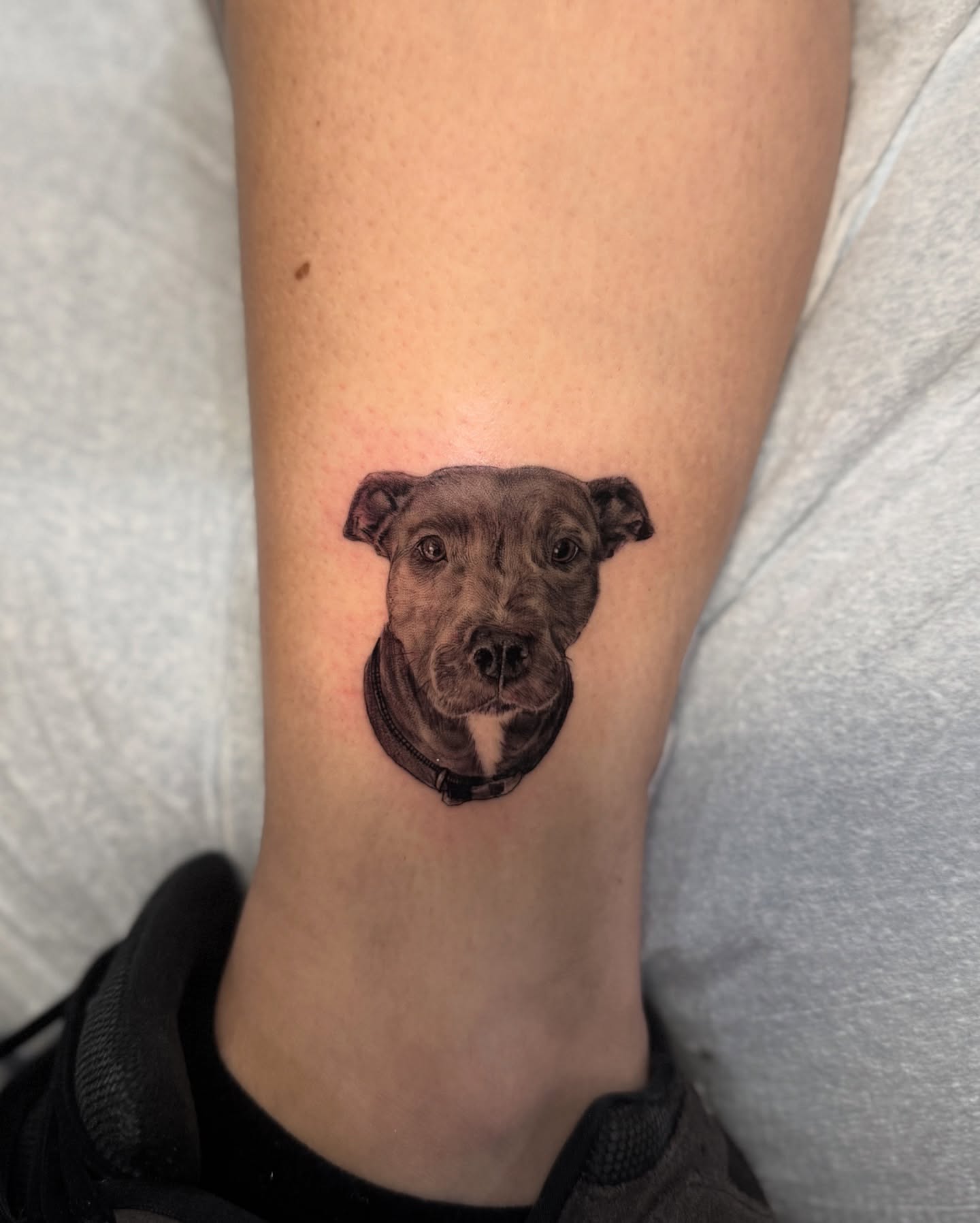 Dog realism tattoo on the forearm by Mia