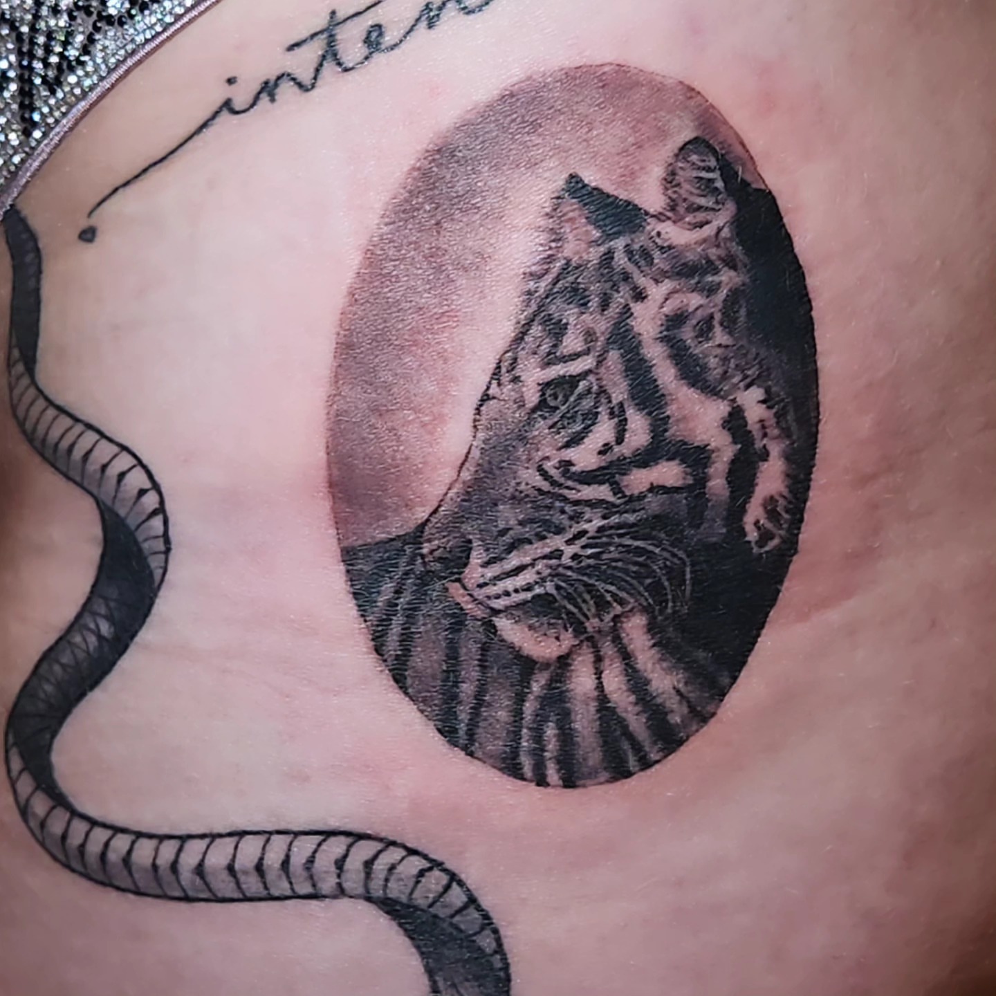 Tiger realism tattoo on the thigh by Sonia