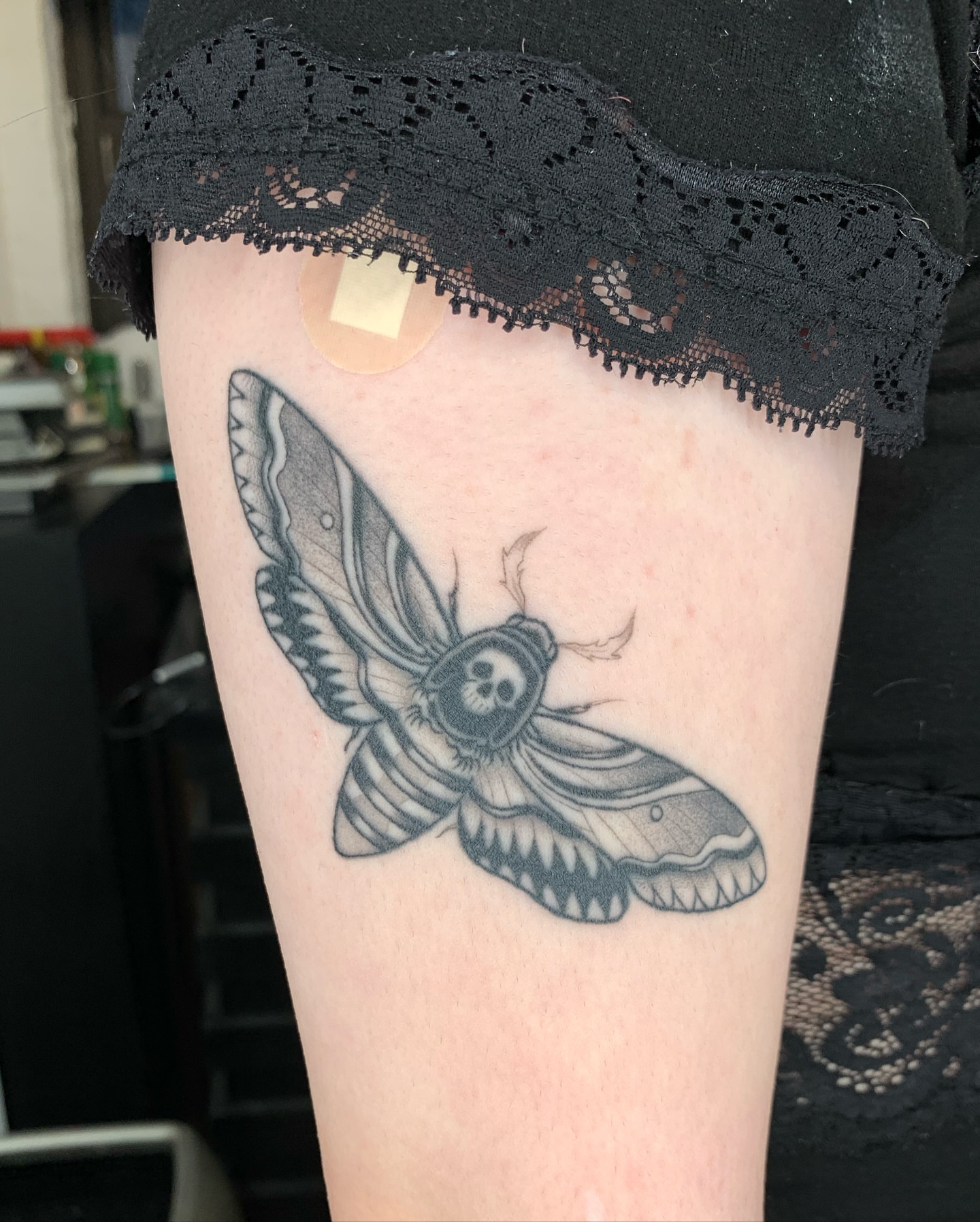 Moth black and grey tattoo on the thigh by Mike G.