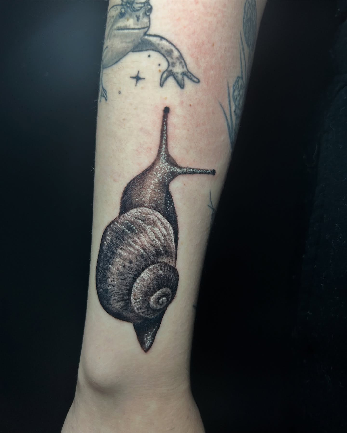 Snail black and grey tattoo on the forearm by Vanessa Kendyll’s Tattoos