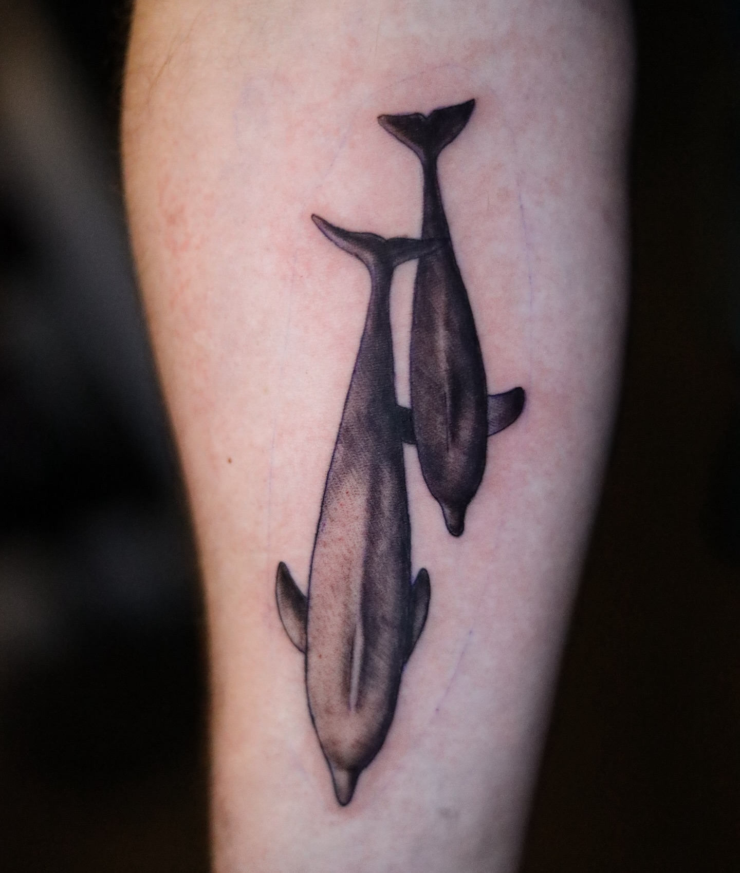Dolphins black and grey tattoo on the forearm by Neeko
