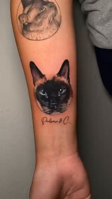 Siamese cat portrait fine line tattoo by Mishel Castro
