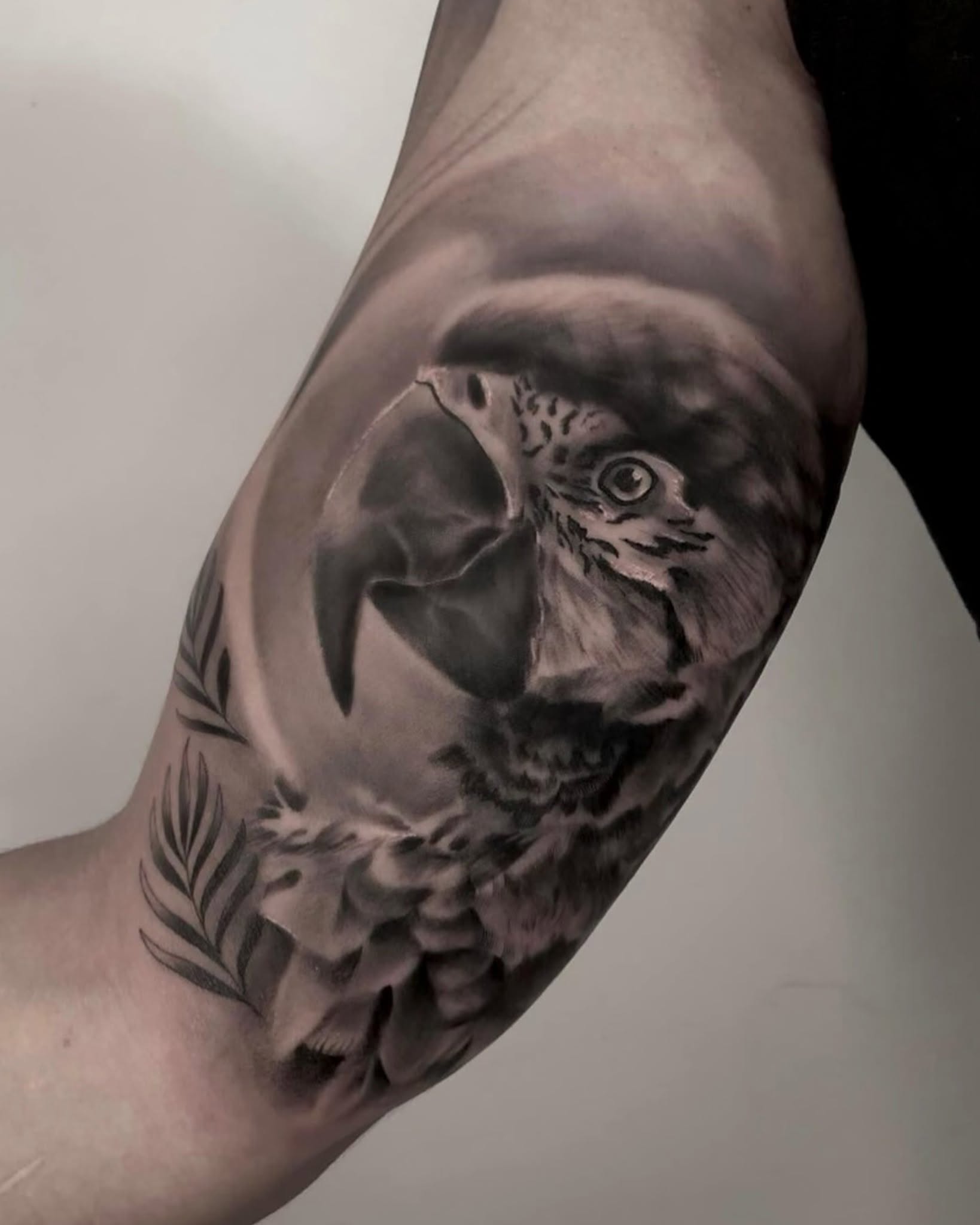 Hawk realism tattoo on the forearm by Diego Andrés Cárdenas
