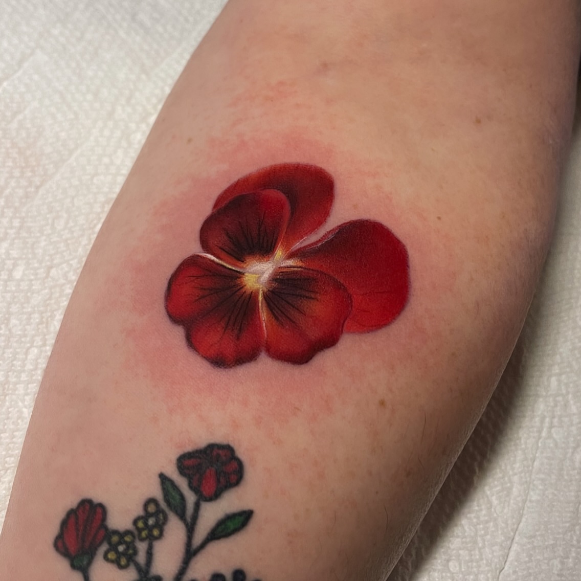 Red pansy realism tattoo on the forearm by Brittany Welsh, Marlton, New Jersey