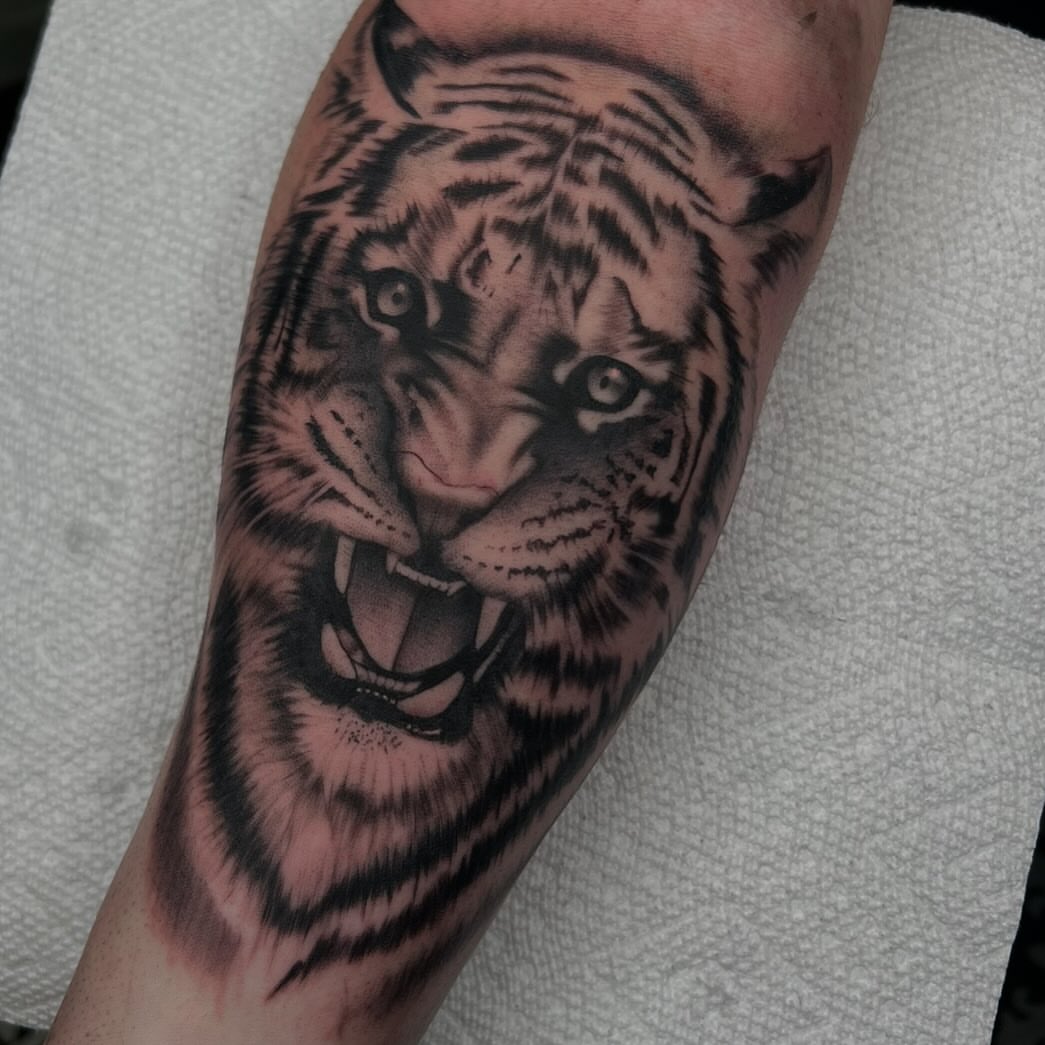 Tiger realism tattoo on the forearm by Kayla Cordova