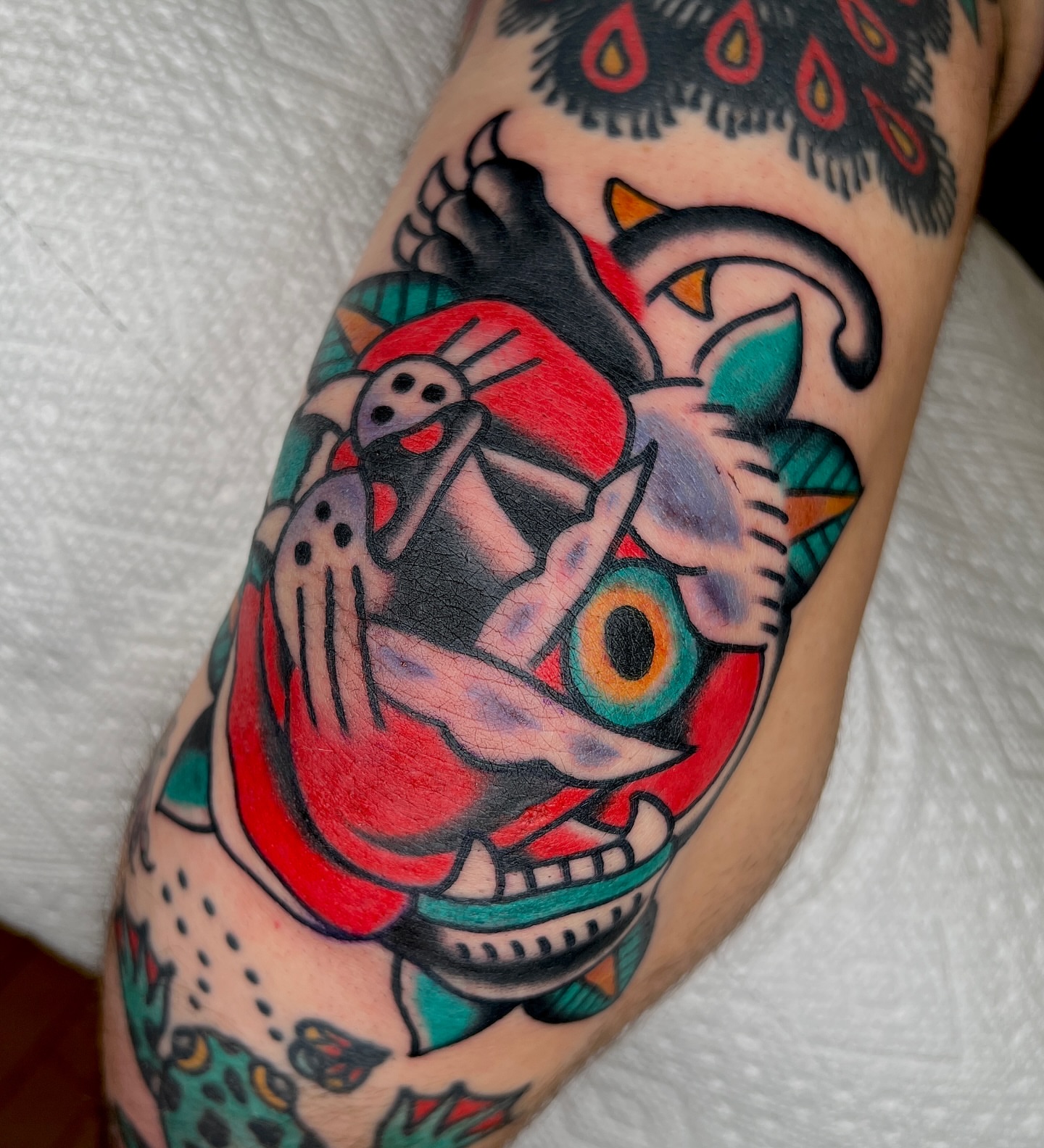 Cat American traditional tattoo on the forearm by Ian Jett