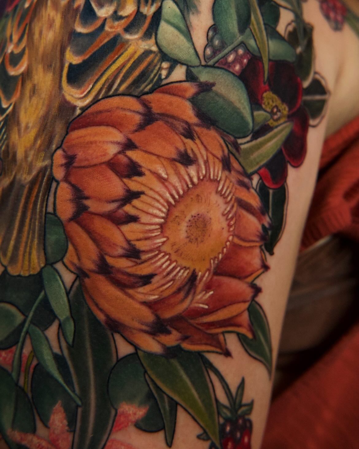 Protea flower realism tattoo on the forearm by 𝒕𝒂𝒕𝒕𝒐𝒐𝒔 𝒃𝒚 𝔏𝔞𝔲𝔯𝔢𝔫 𝔐𝔬𝔫𝔣𝔬𝔯𝔱𝔢