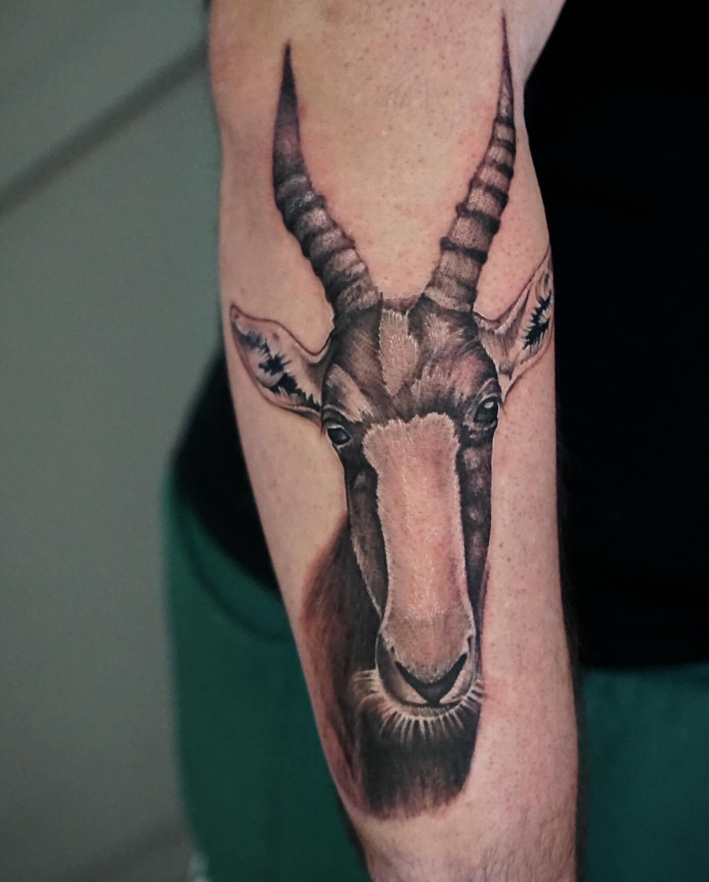Antelope head realism tattoo on the forearm by Nicholas Capellan, Winter Park, Florida