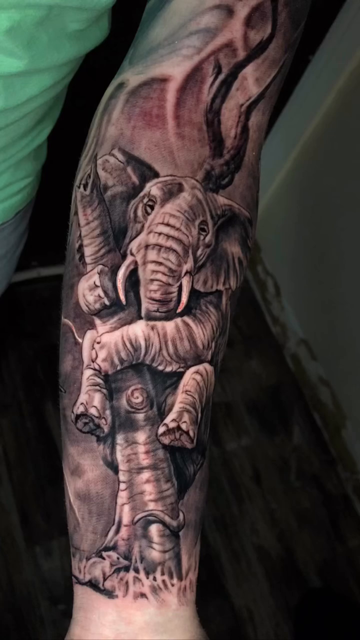 Elephants realism tattoo by Oak Adams