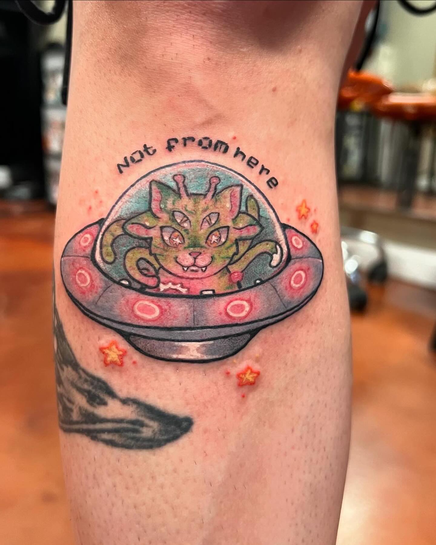Alien cat in UFO dotwork tattoo on the forearm by SJ Horvath
