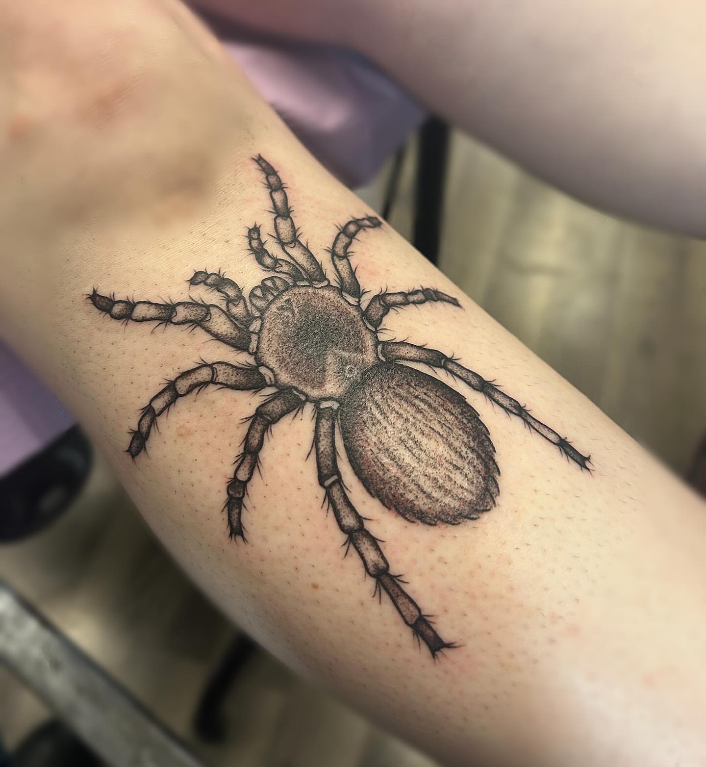 Spider dotwork tattoo on the forearm by ππππππ ππππππ