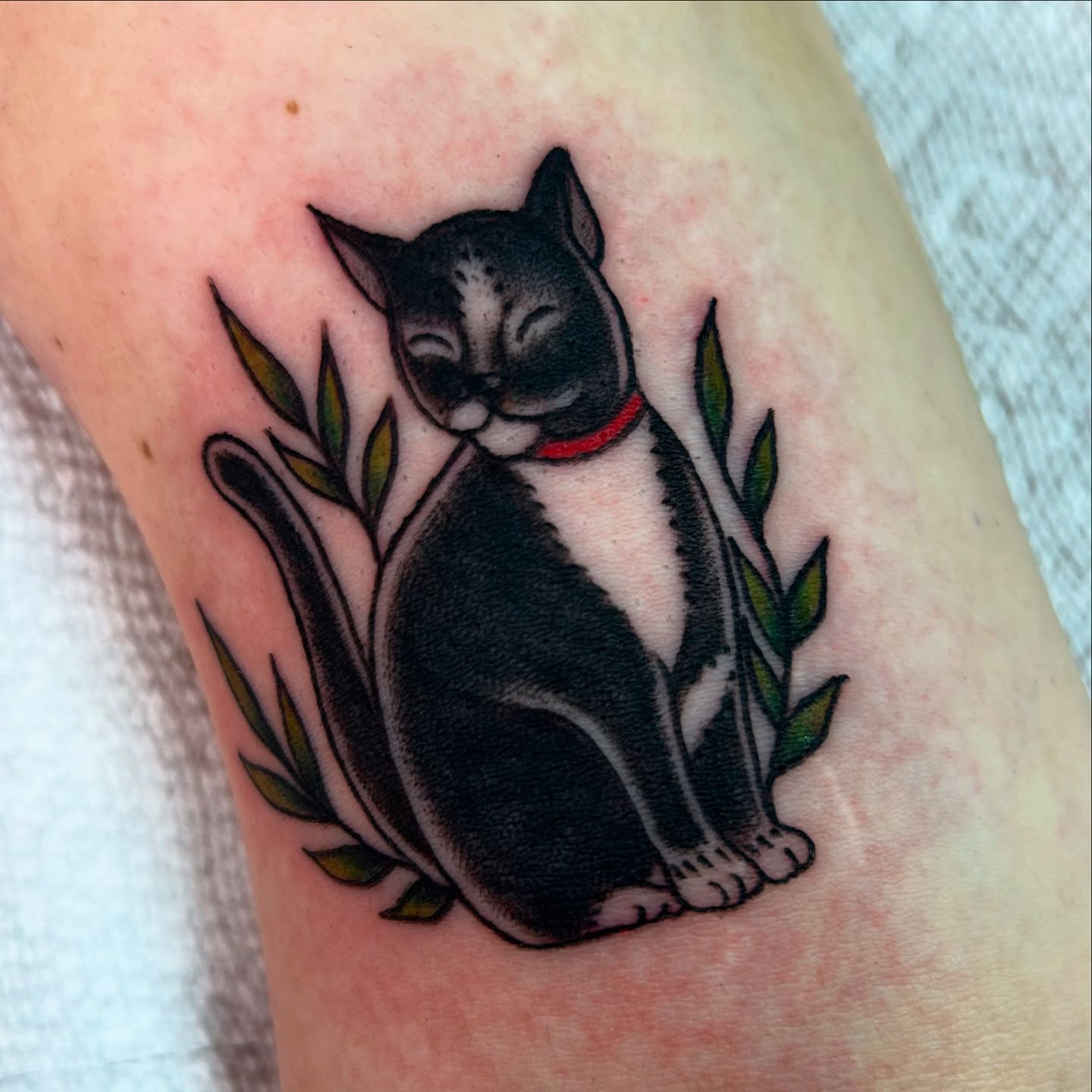 Cat American traditional tattoo on the forearm by Lauren Caldwell 🔮🌙