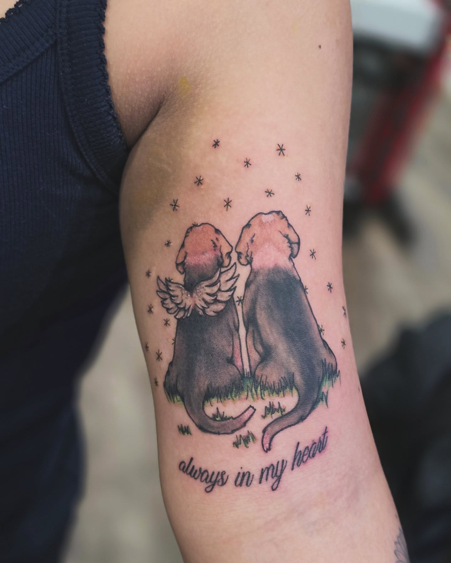 Tattoo by @cerberustattoos — dotwork, realism