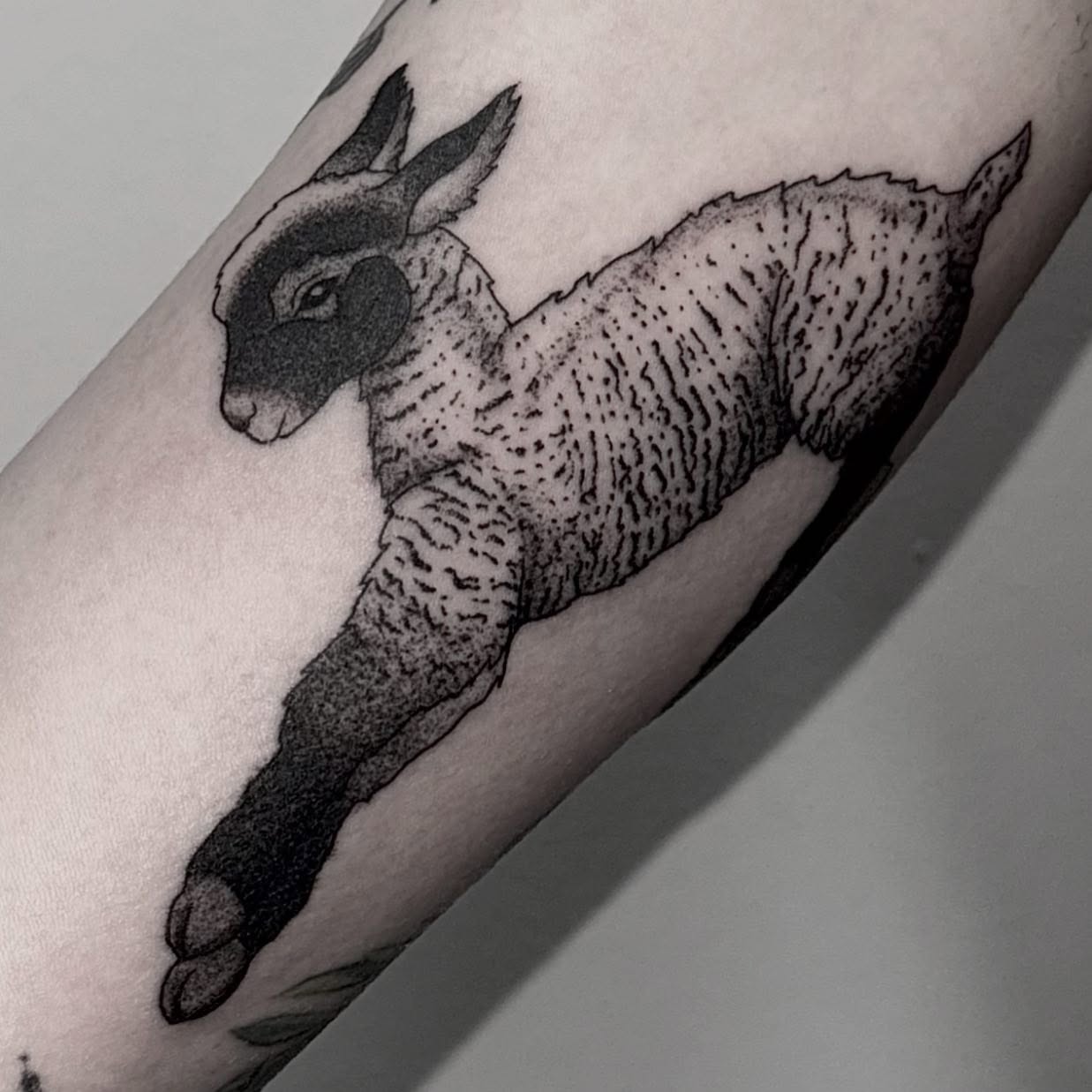 Tattoo by @gutsandink — dotwork