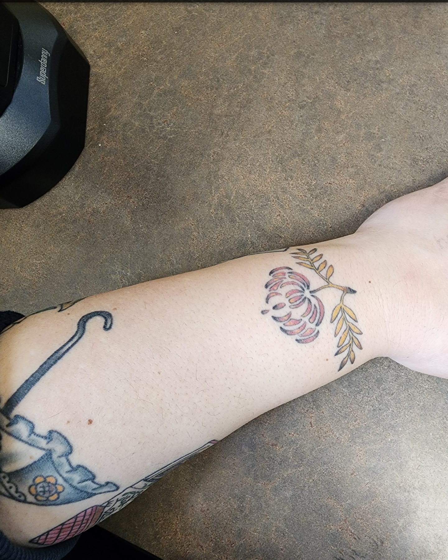 Chrysanthemum dotwork tattoo on the forearm by Brittany Welsh, Marlton, New Jersey