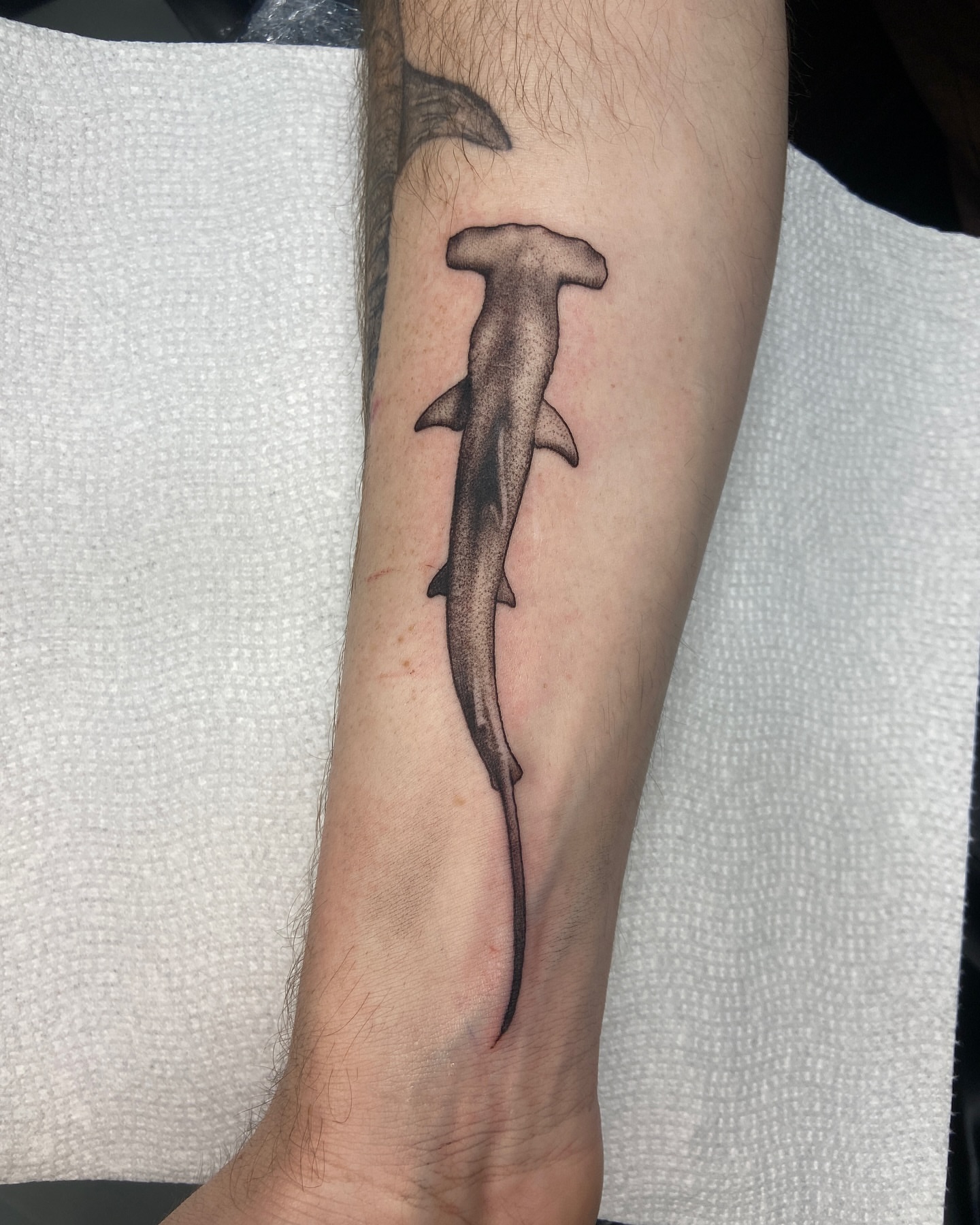 Tattoo by @blairrydell — black_and_grey