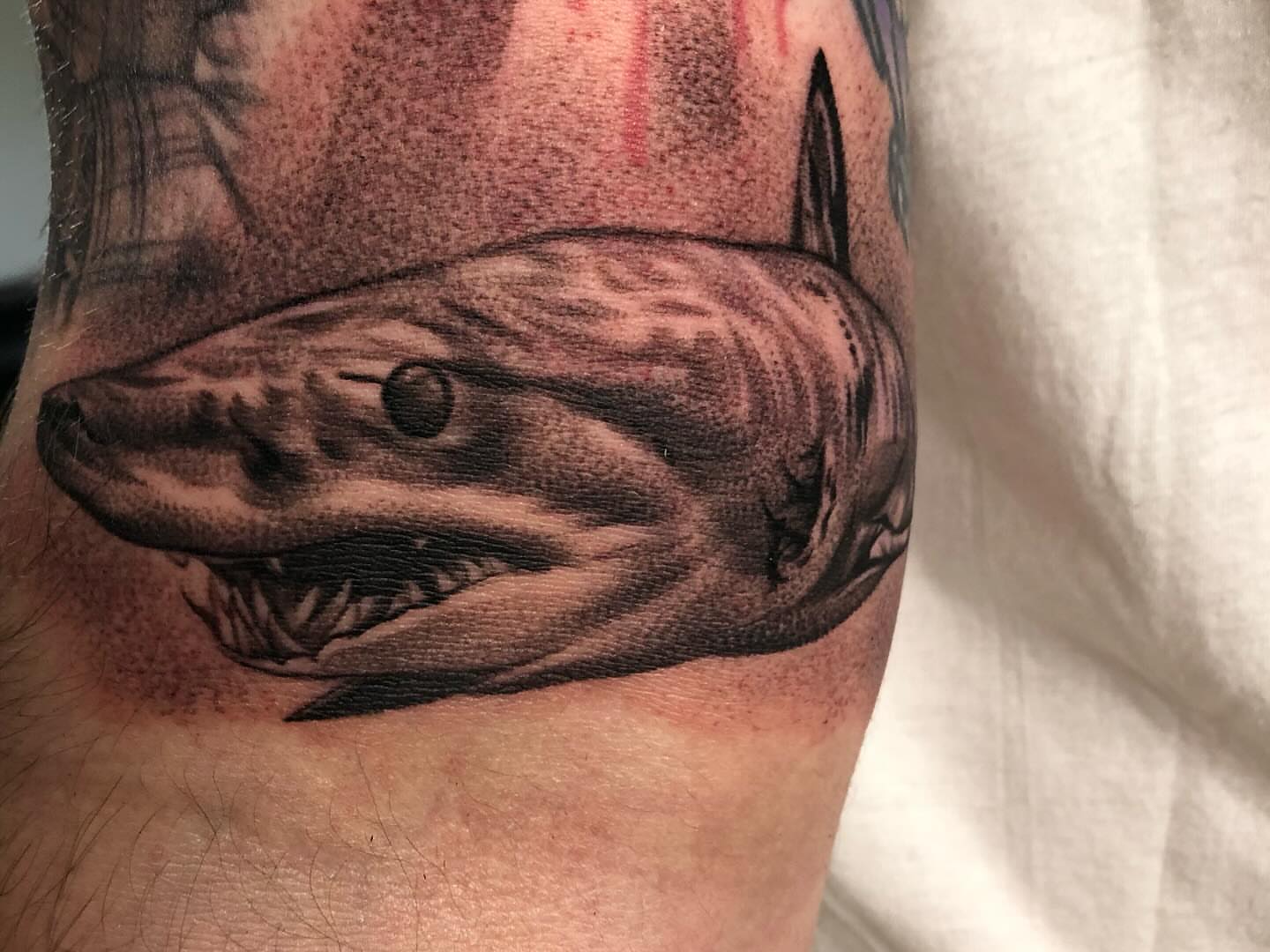 Shark realism tattoo on the forearm by Carla V