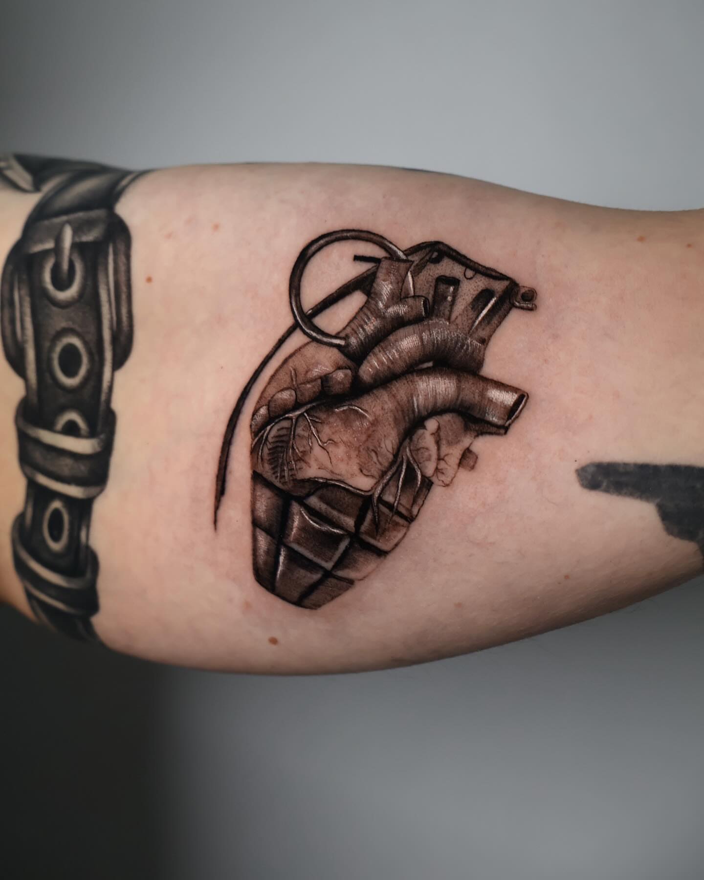 Anatomical heart realism tattoo on the forearm by Stephanie Pedraza