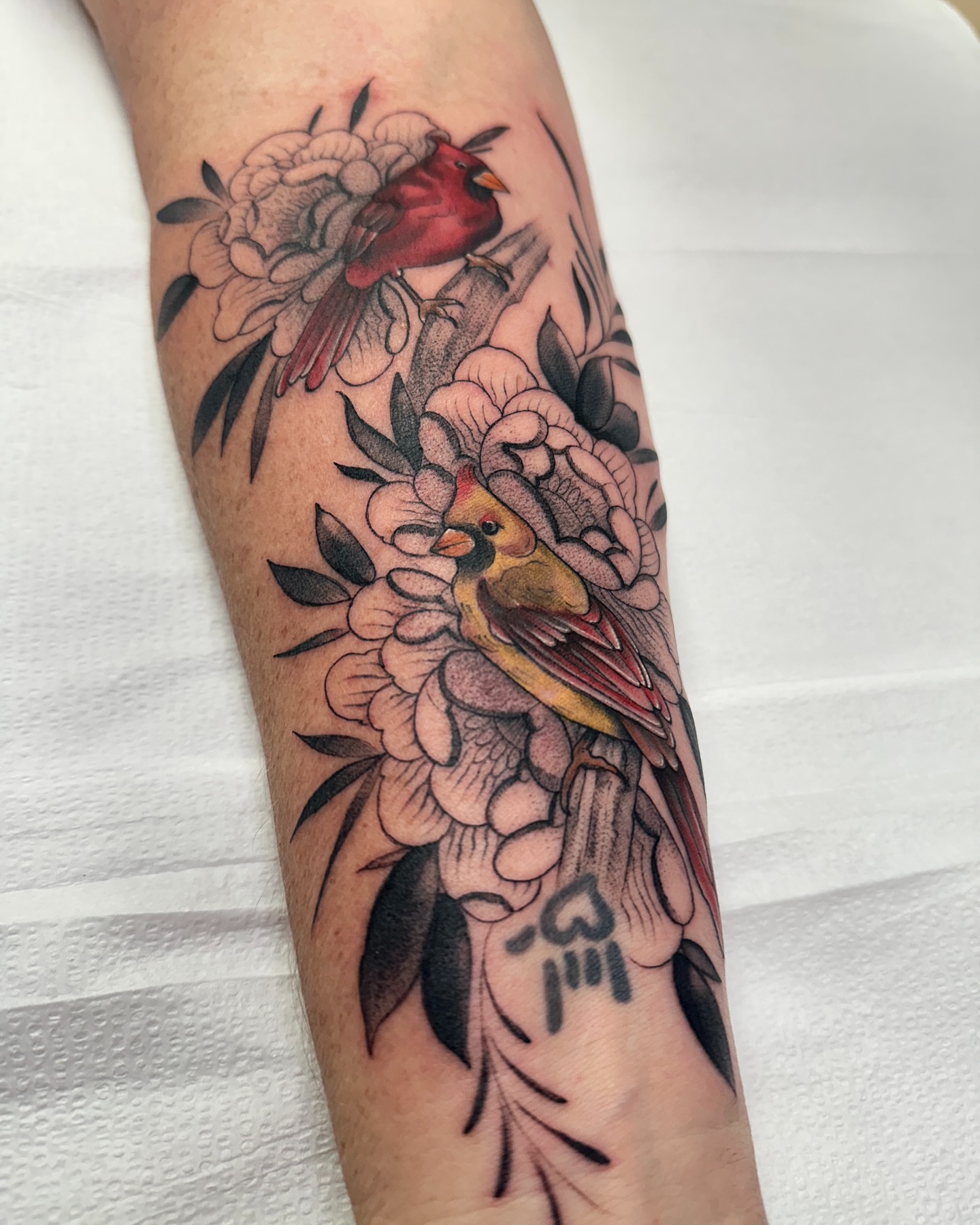 Cardinals and flowers American traditional tattoo on the forearm by Juan Vega (tony)