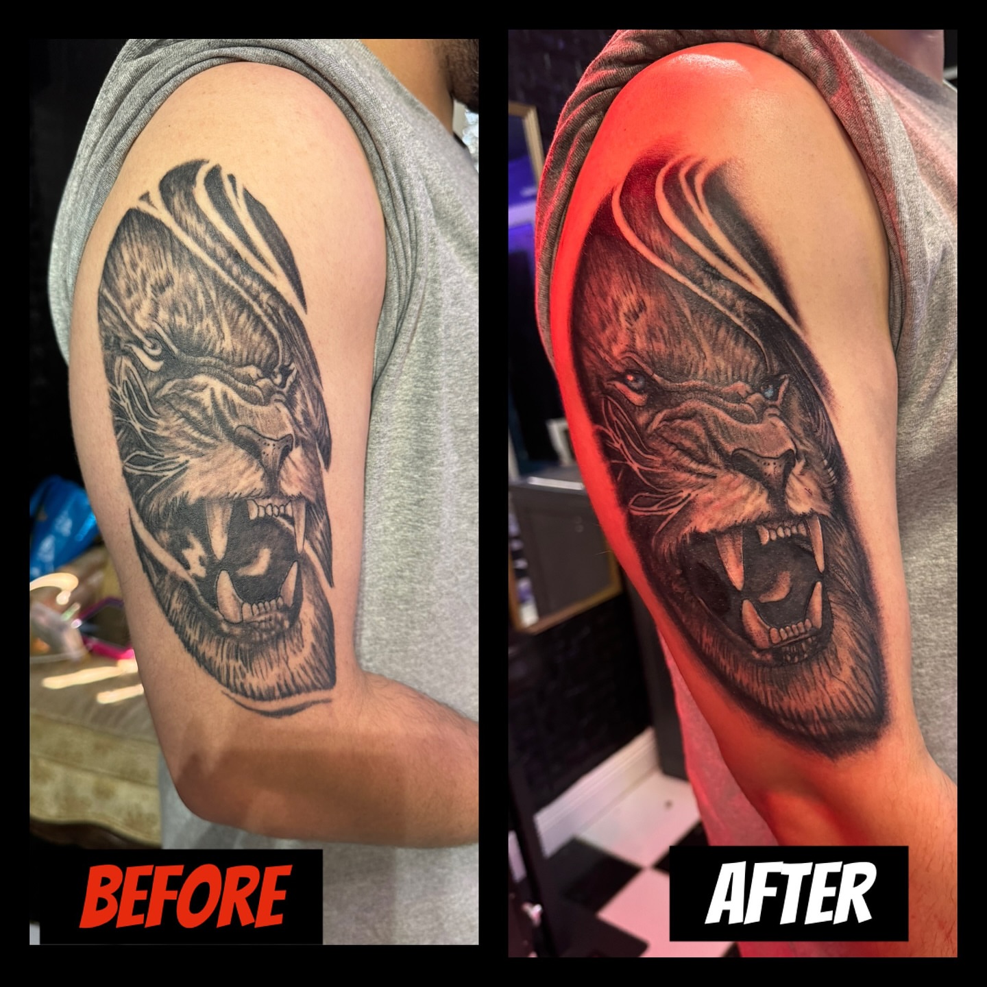 Roaring lion realism tattoo on the shoulder by Christa Martinez