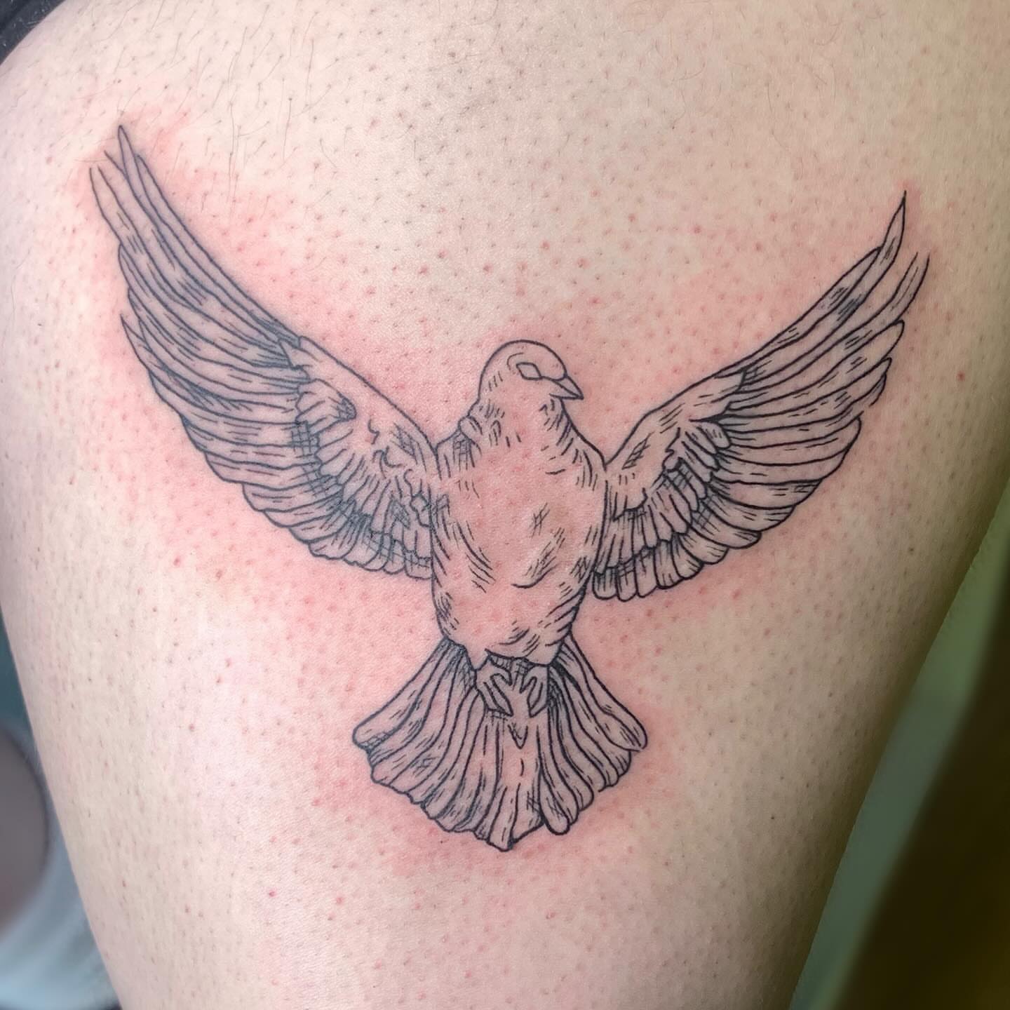 Dove black and grey tattoo on the shoulder by Ava Glory Tattoos