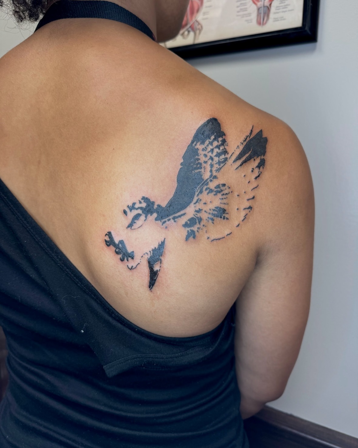 Bird black and grey tattoo on the shoulder by Milo