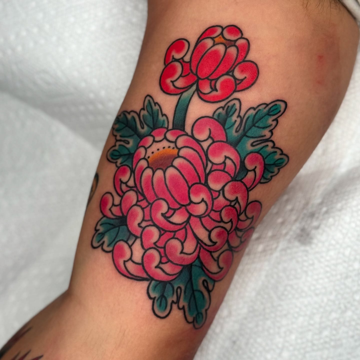 Chrysanthemum American traditional tattoo on the forearm by Domanick Libretti, Nashville, Tennessee