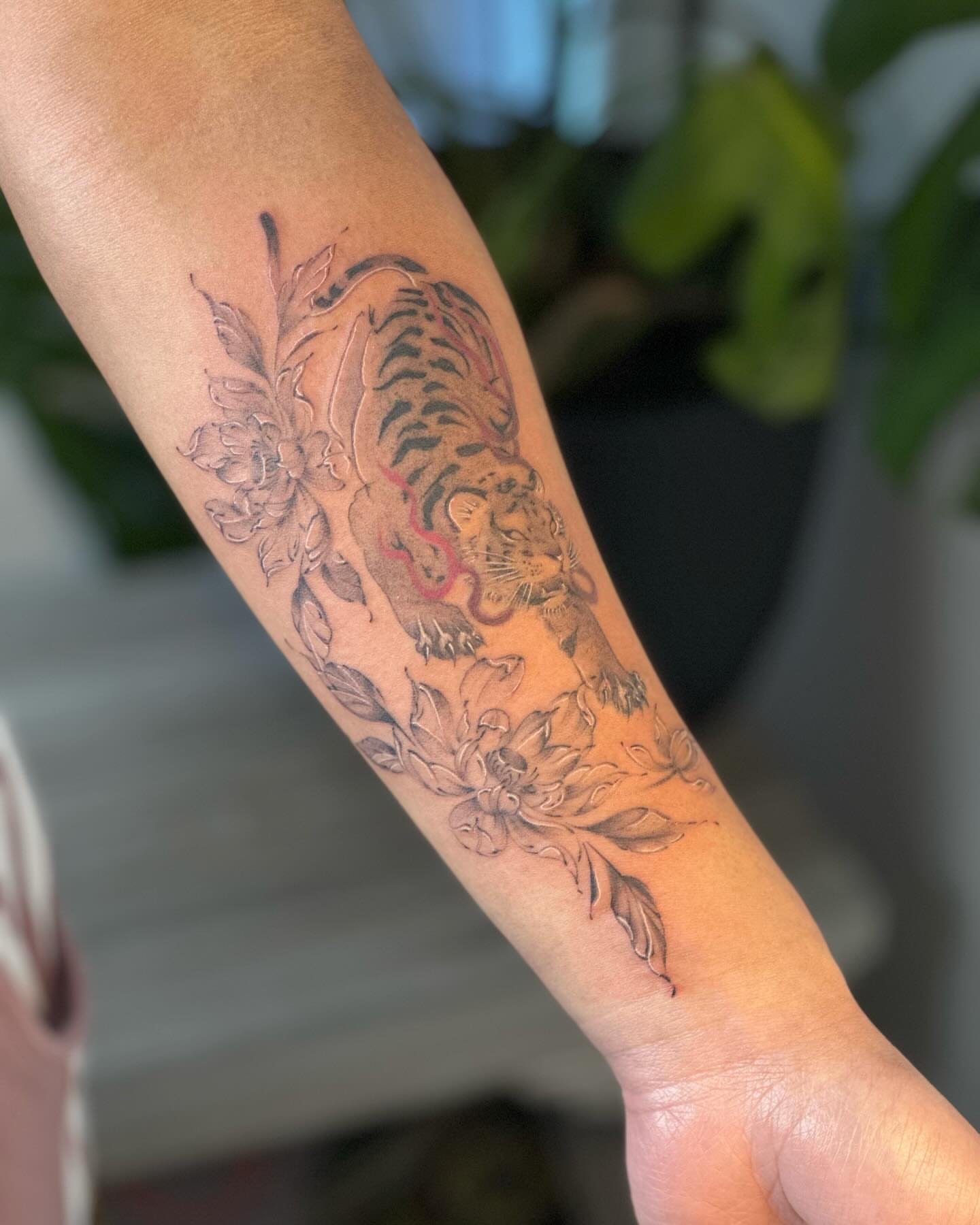 Tiger and flowers black and grey tattoo on the forearm by thuy (twee) <3, San Jose, California
