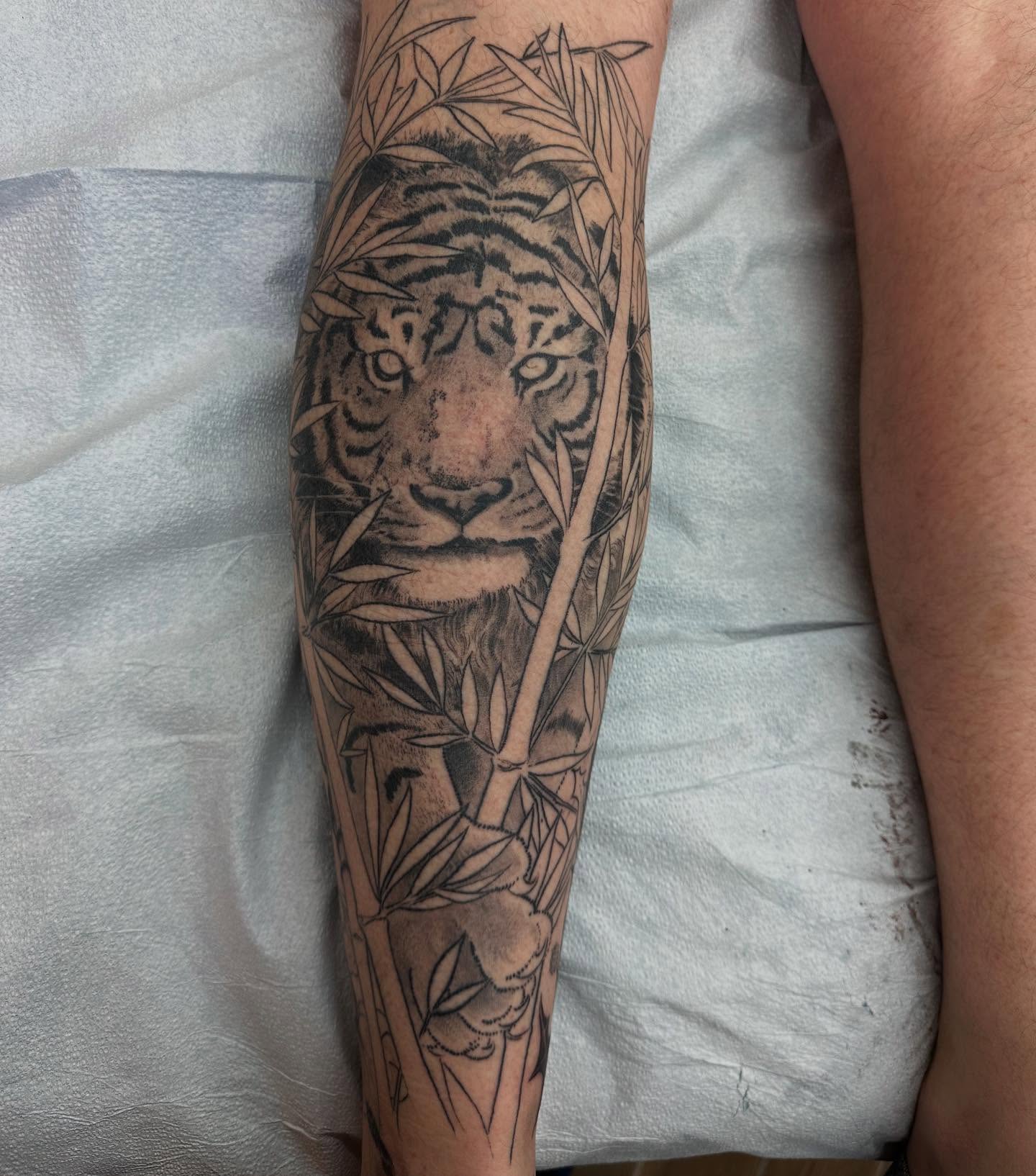 Tiger realism tattoo on the forearm by Hori Bensei, Charlottesville, Virginia