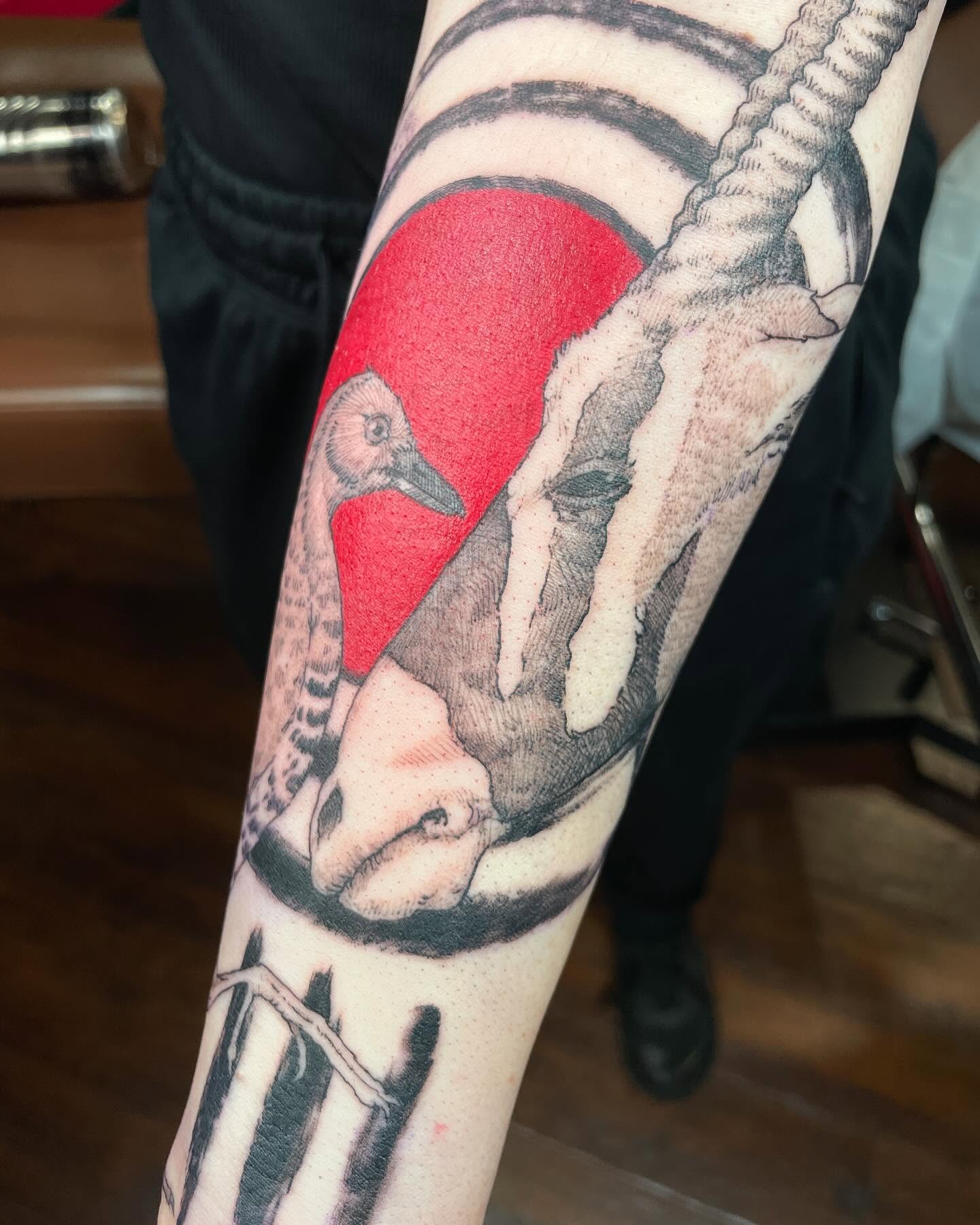 Tattoo by @rowanrhystattoo — american_traditional, realism