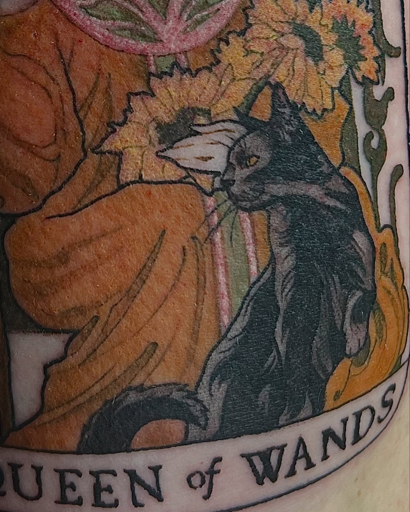 Cat and floral elements American traditional tattoo by Amanda Leitch