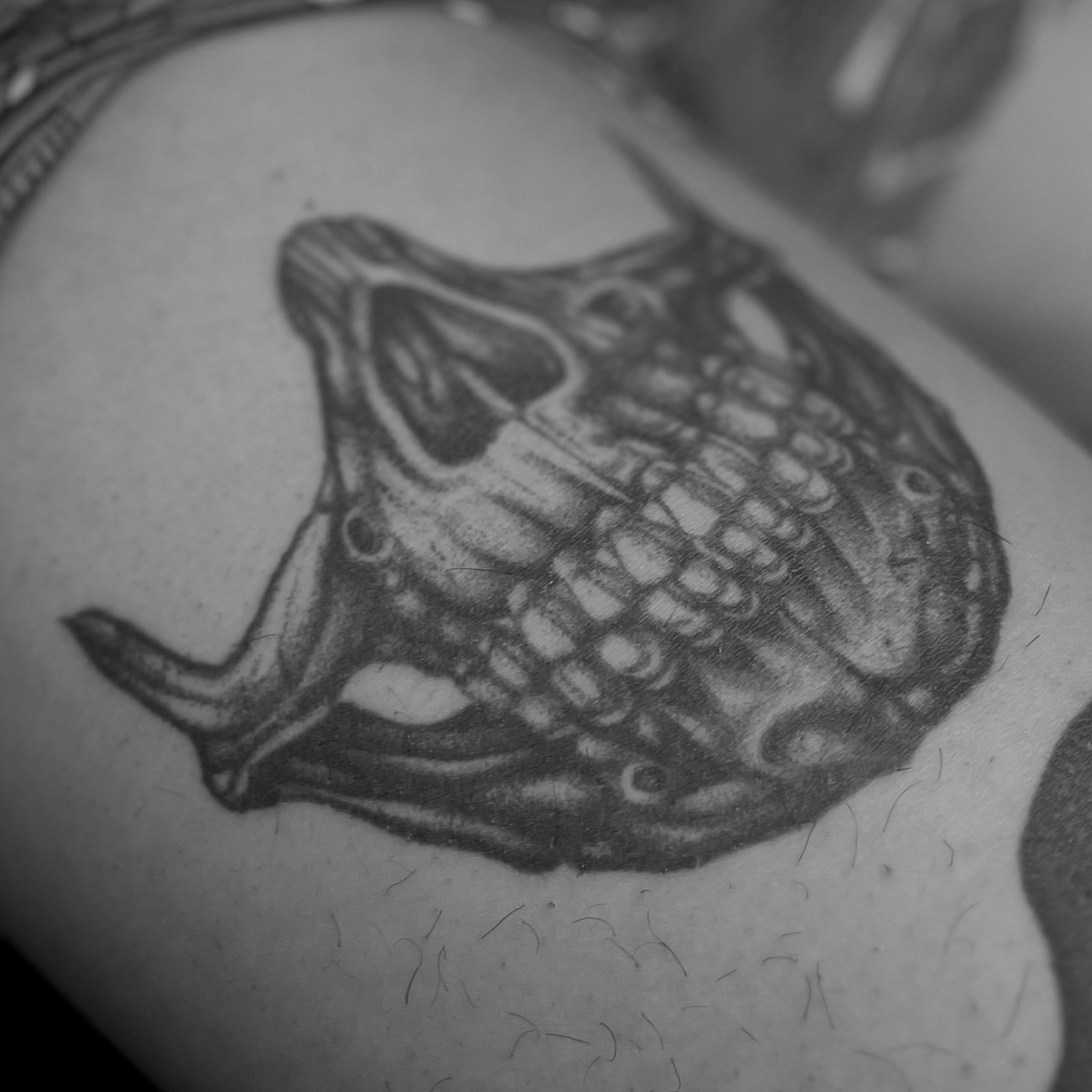 Tattoo by @emile_erikoff — black_and_grey