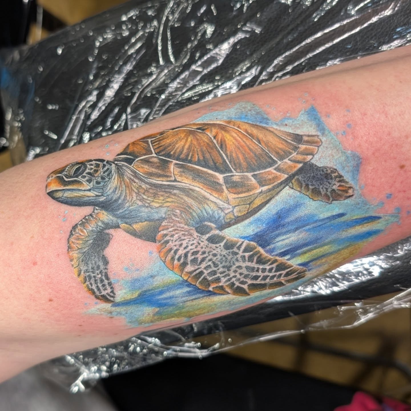 Sea turtle realism tattoo on the forearm by Kara Falcon
