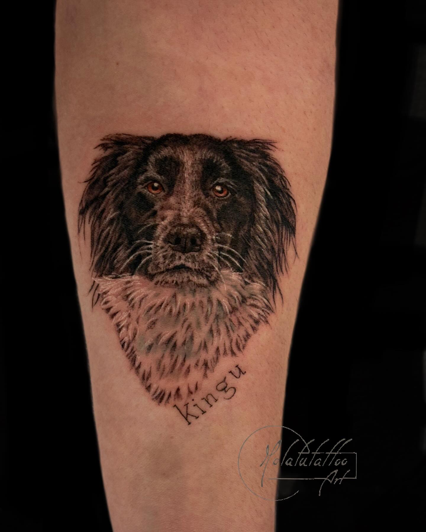 Dog portrait realism tattoo on the forearm by Molatutattoo