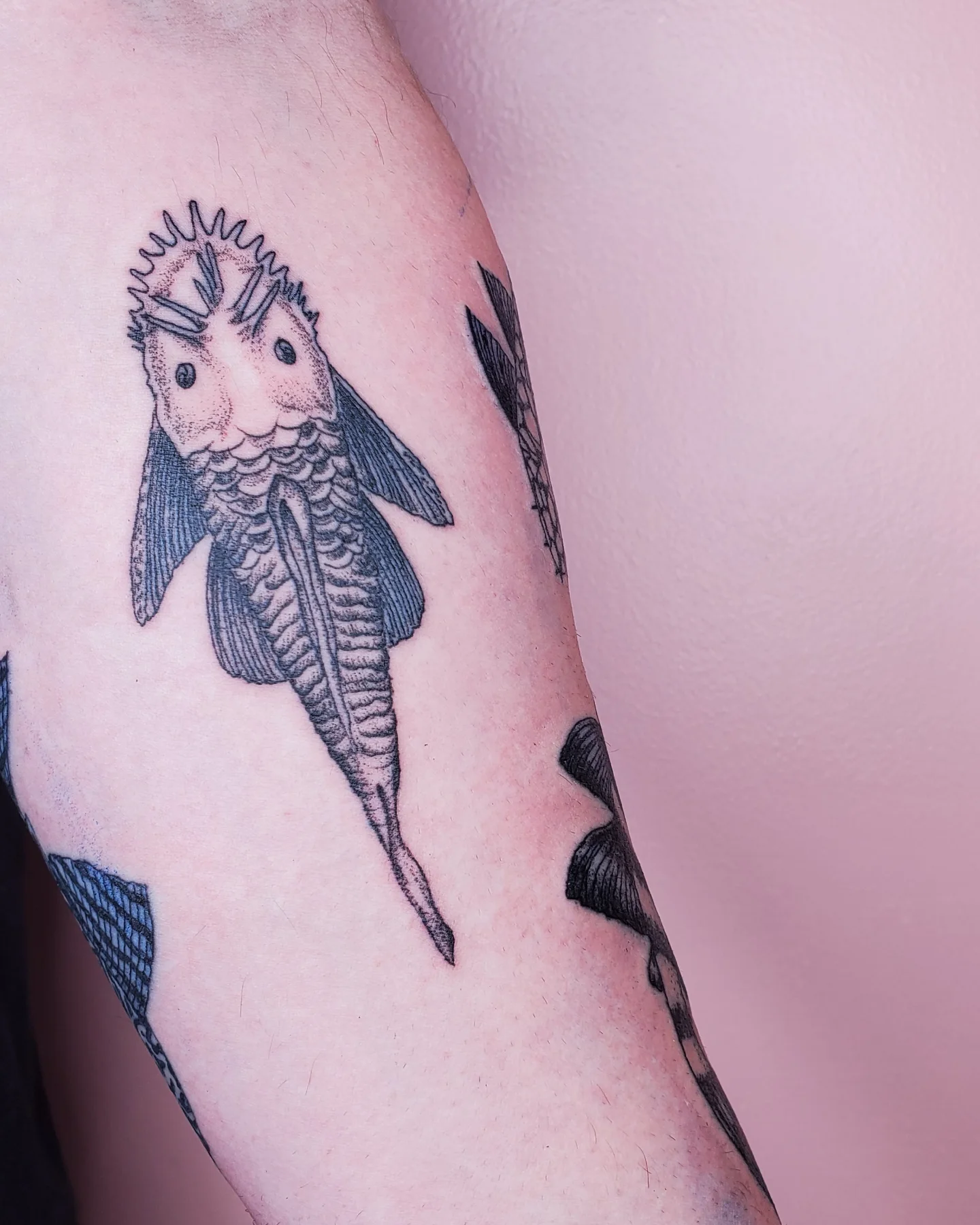Tattoo by @sumertattoos — black_and_grey