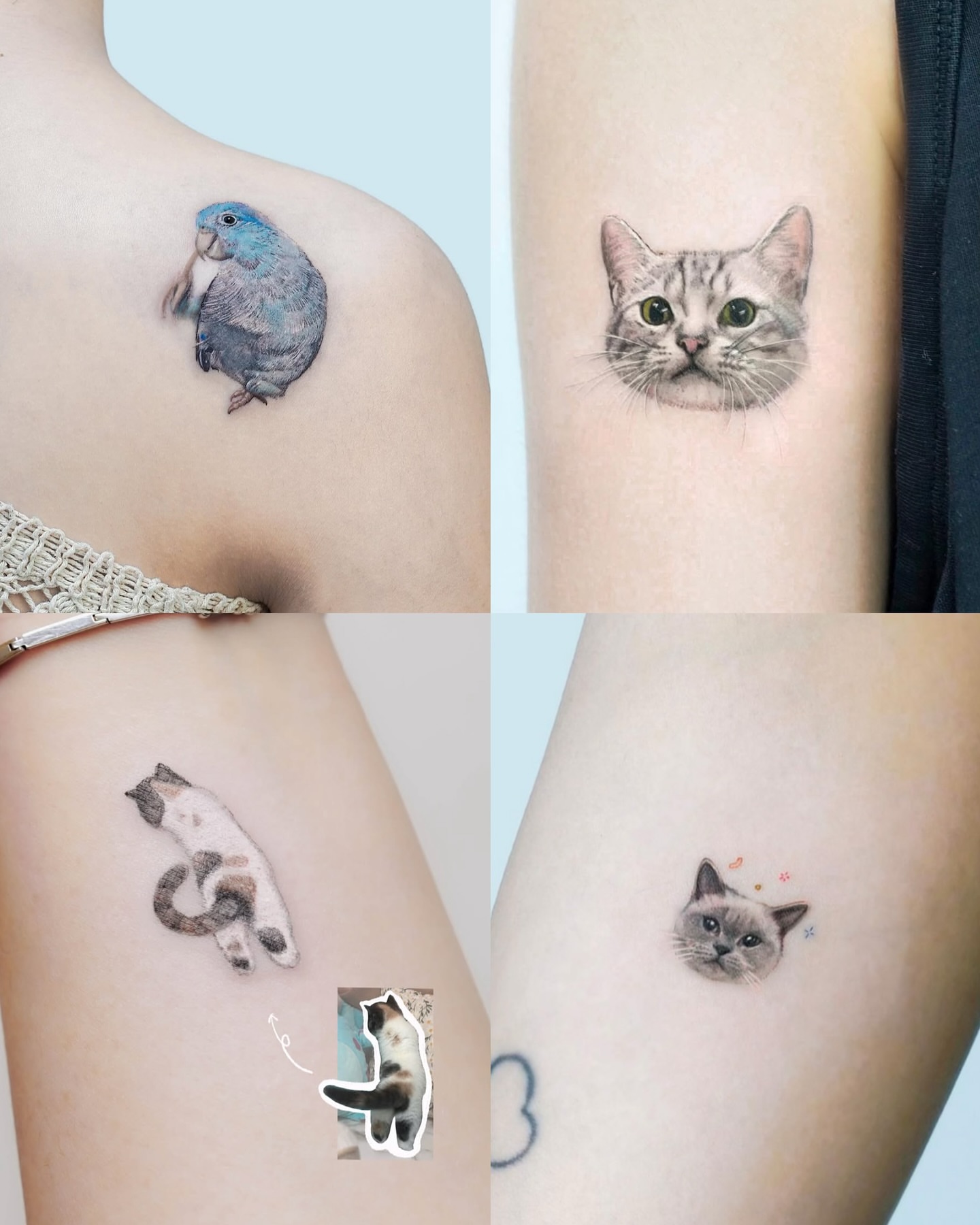 Tattoo by @misa_tat — realism