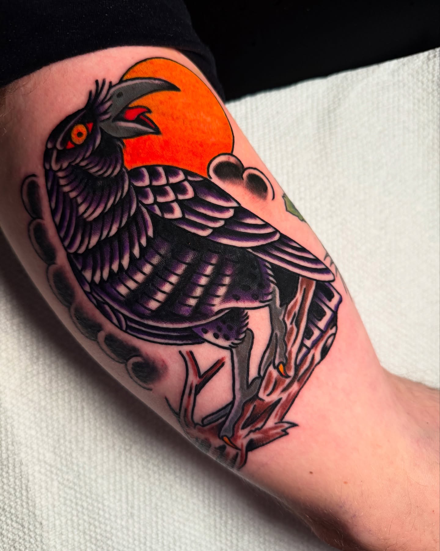 Crow American traditional tattoo on the forearm by πππ’π―π’π¨ πππΆπ©π¬π―π, Manchester, New Hampshire