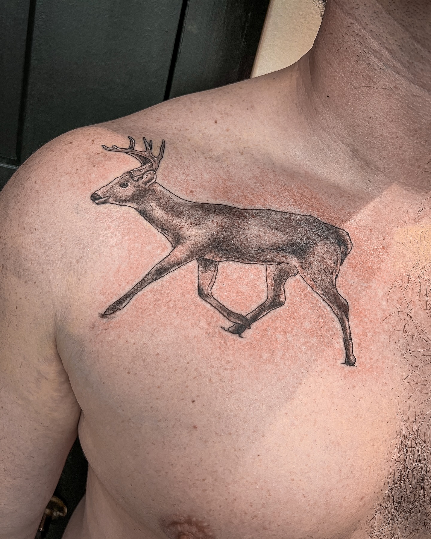 Tattoo by @reaganinks — black_and_grey
