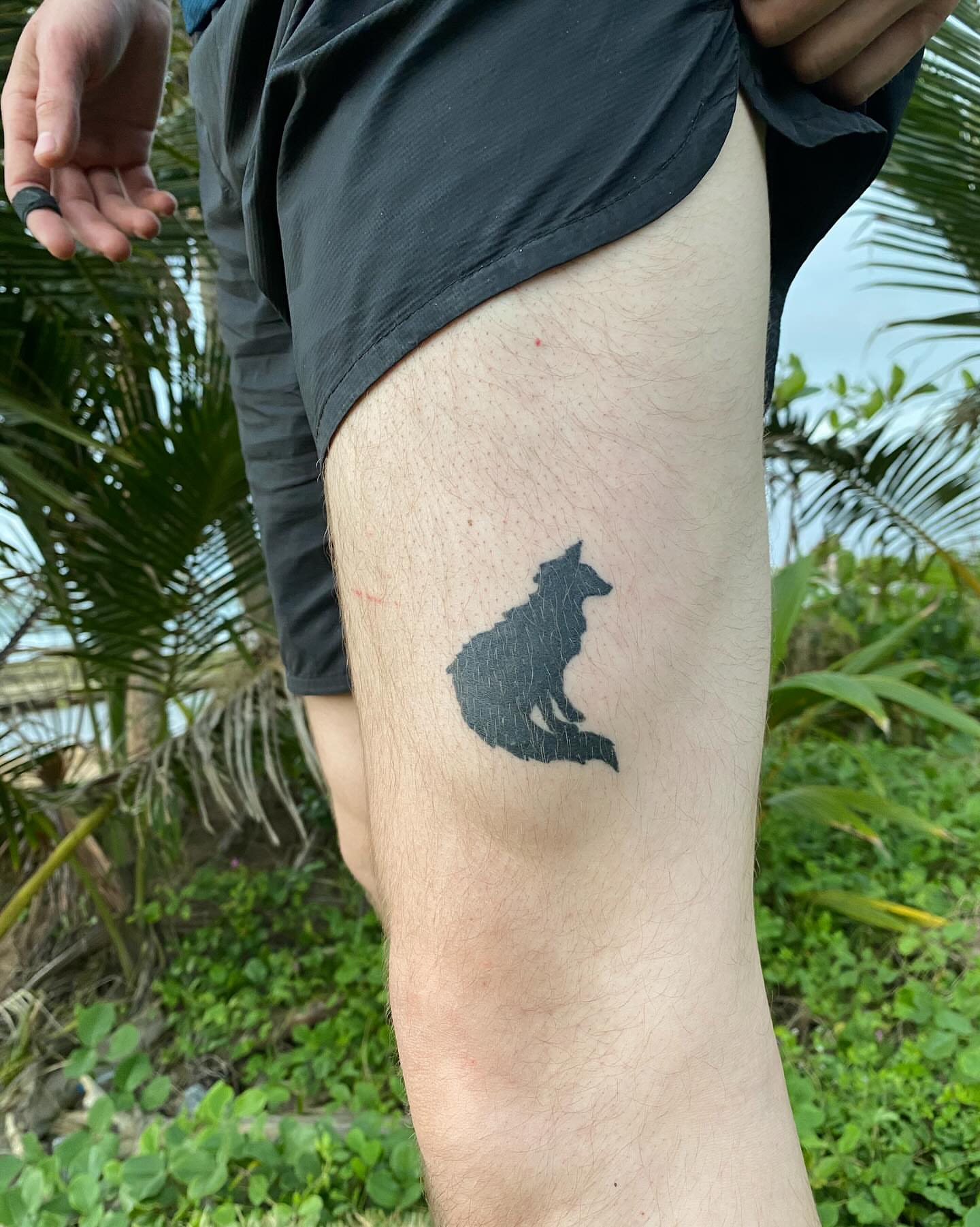 Tattoo by @littleblackdogtattoo — black_and_grey