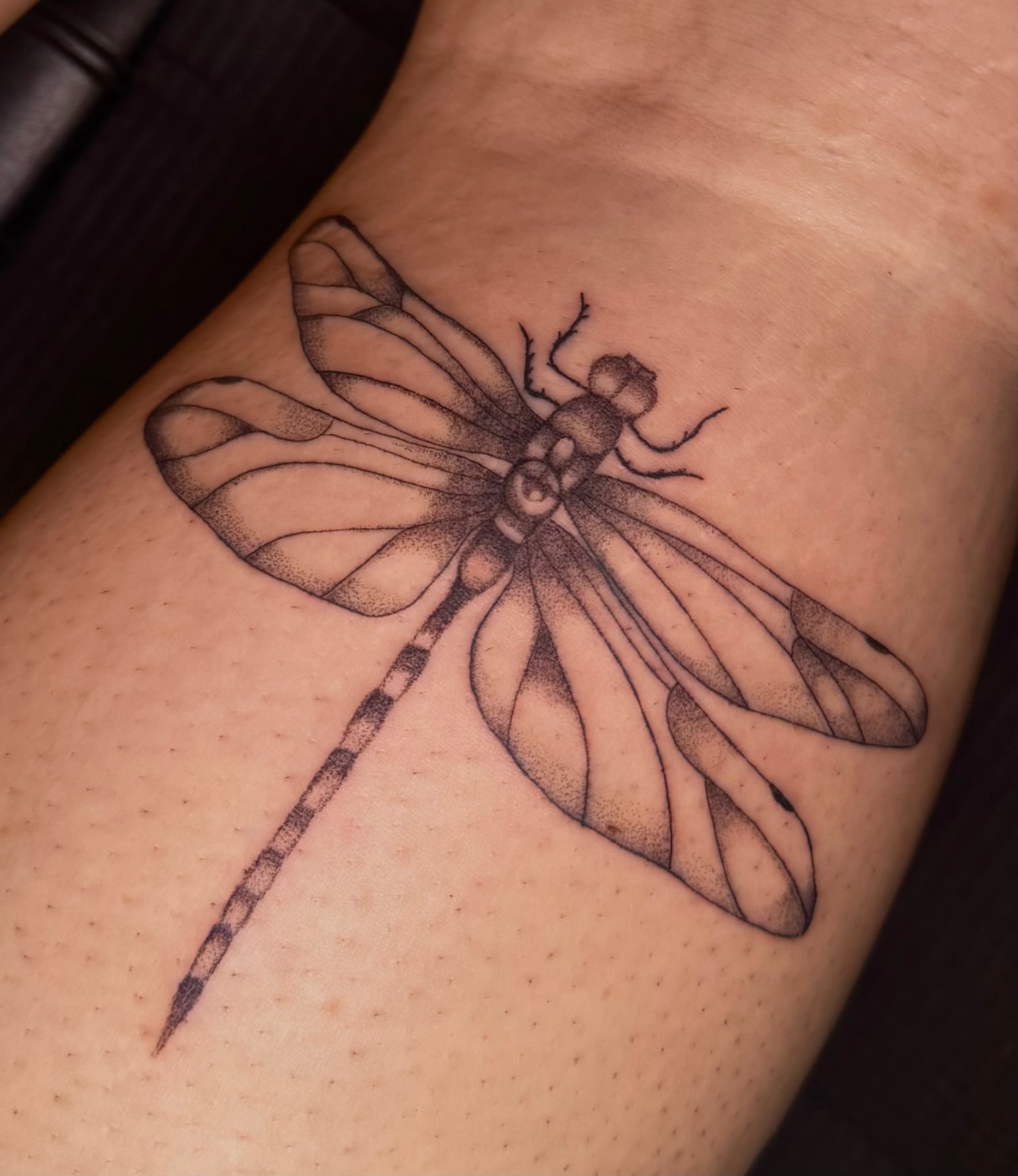 Dragonfly dotwork tattoo on the thigh by V