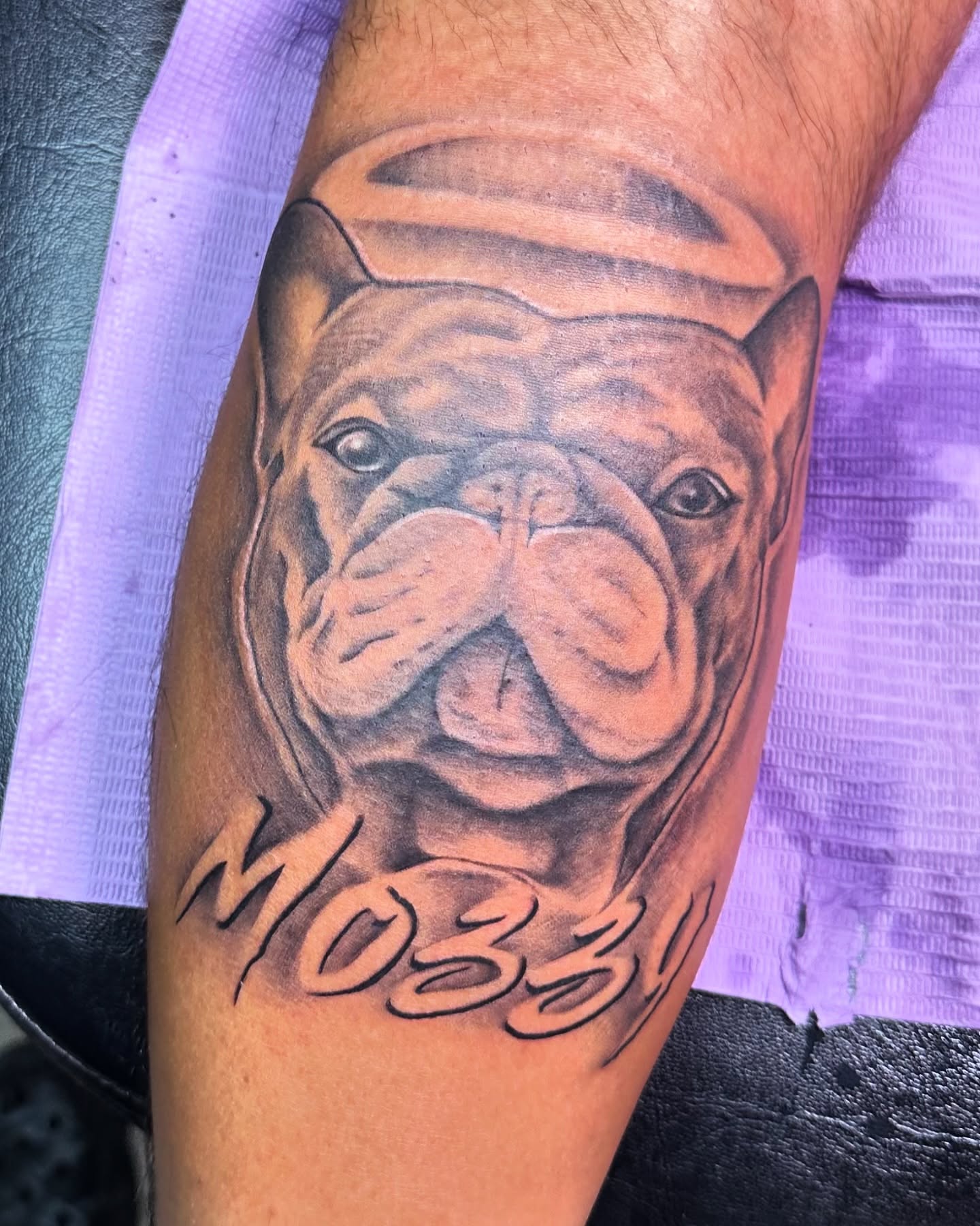 Bulldog realism tattoo on the forearm by Jay Daartist