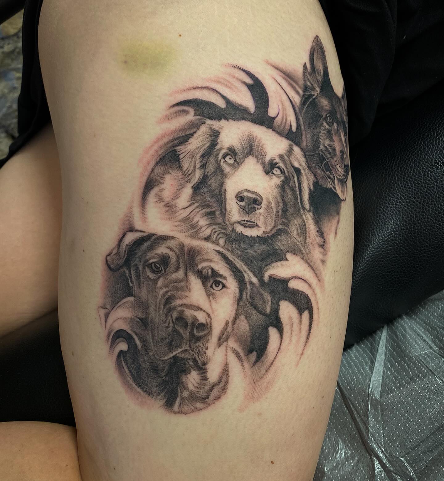 Dogs realism tattoo on the thigh by Francis Hagendorn, Toronto, Ontario