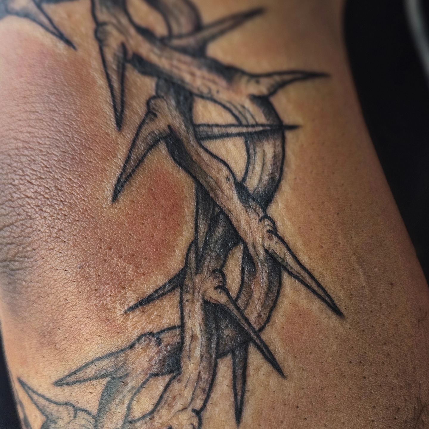 Tattoo by @doveandtoad — black_and_grey