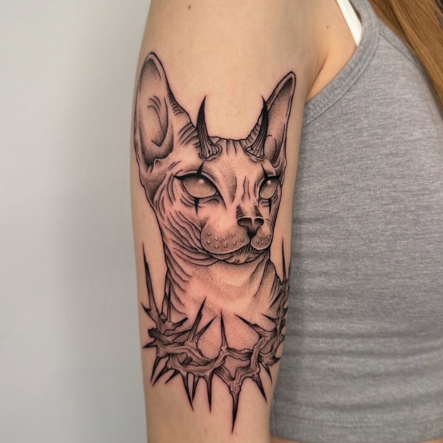 Sphynx cat realism tattoo on the forearm by โโฎโ๐ถ๐๐ฝ๐๐๐ู เฃชโญ las vegas tattoo artist