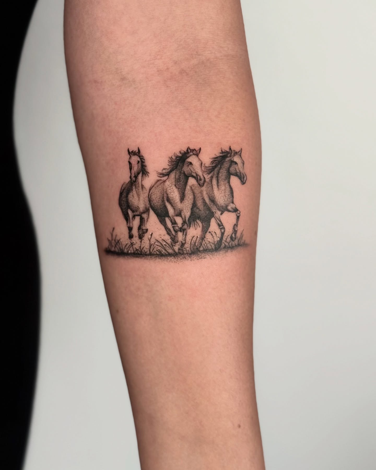 Horses running realism tattoo on the forearm by Miro Ink Tattoo