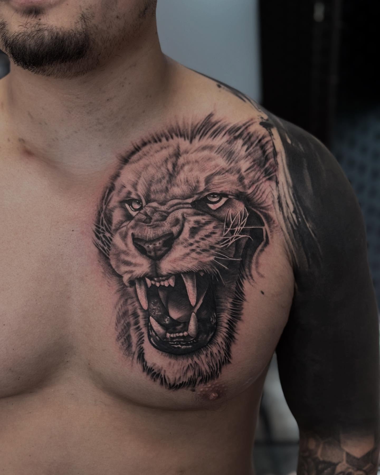 Roaring lion realism tattoo on the chest by Aaron Carey, Salem, Oregon