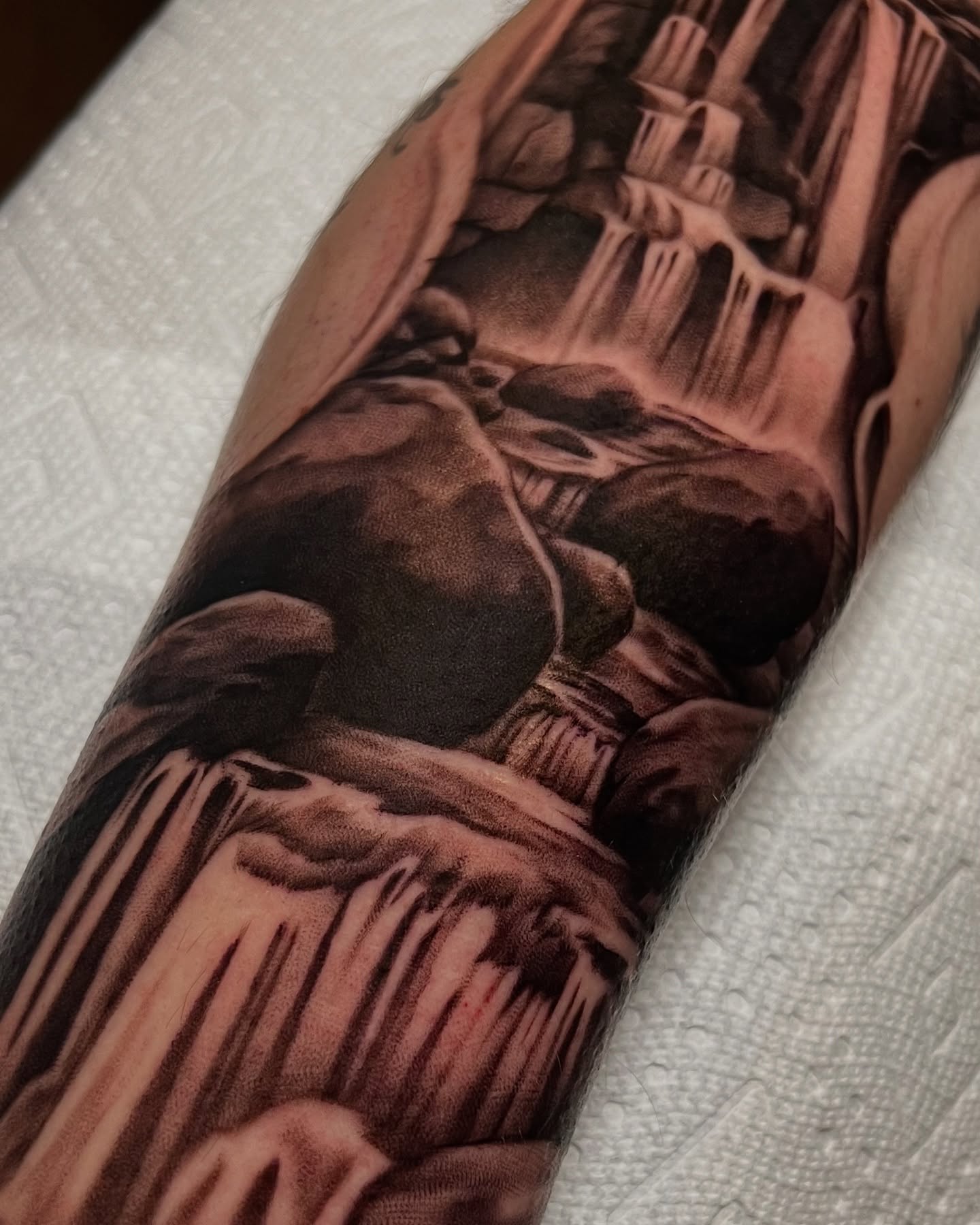 Tattoo by @girlwiththefoxtattoo — realism, black_and_grey